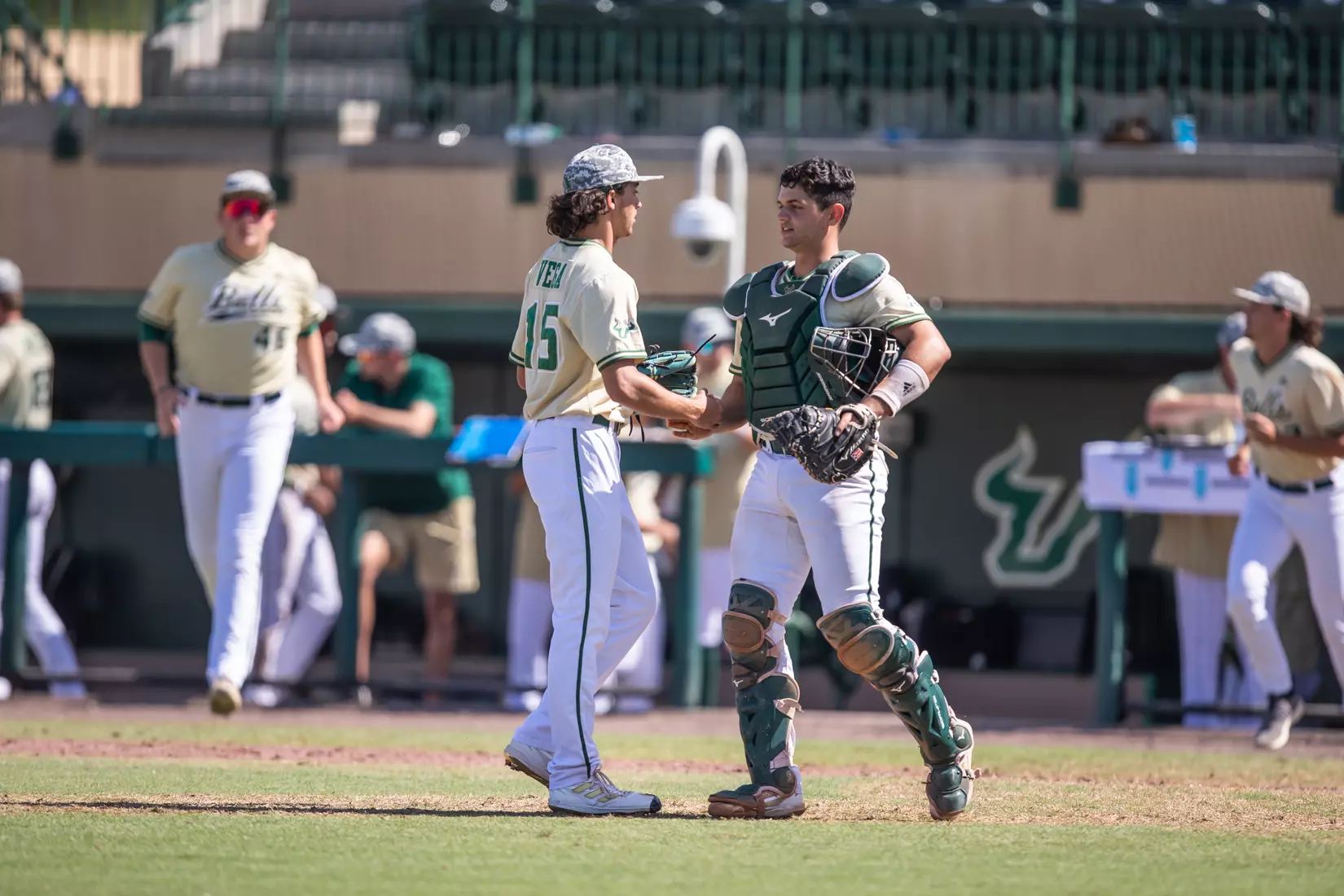 South Florida Bulls during a baseball game against the Niagara University Purple Eagles at the USF Baseball Stadium on March 27, 2022. (Mary Holt/South Florida Athletics)