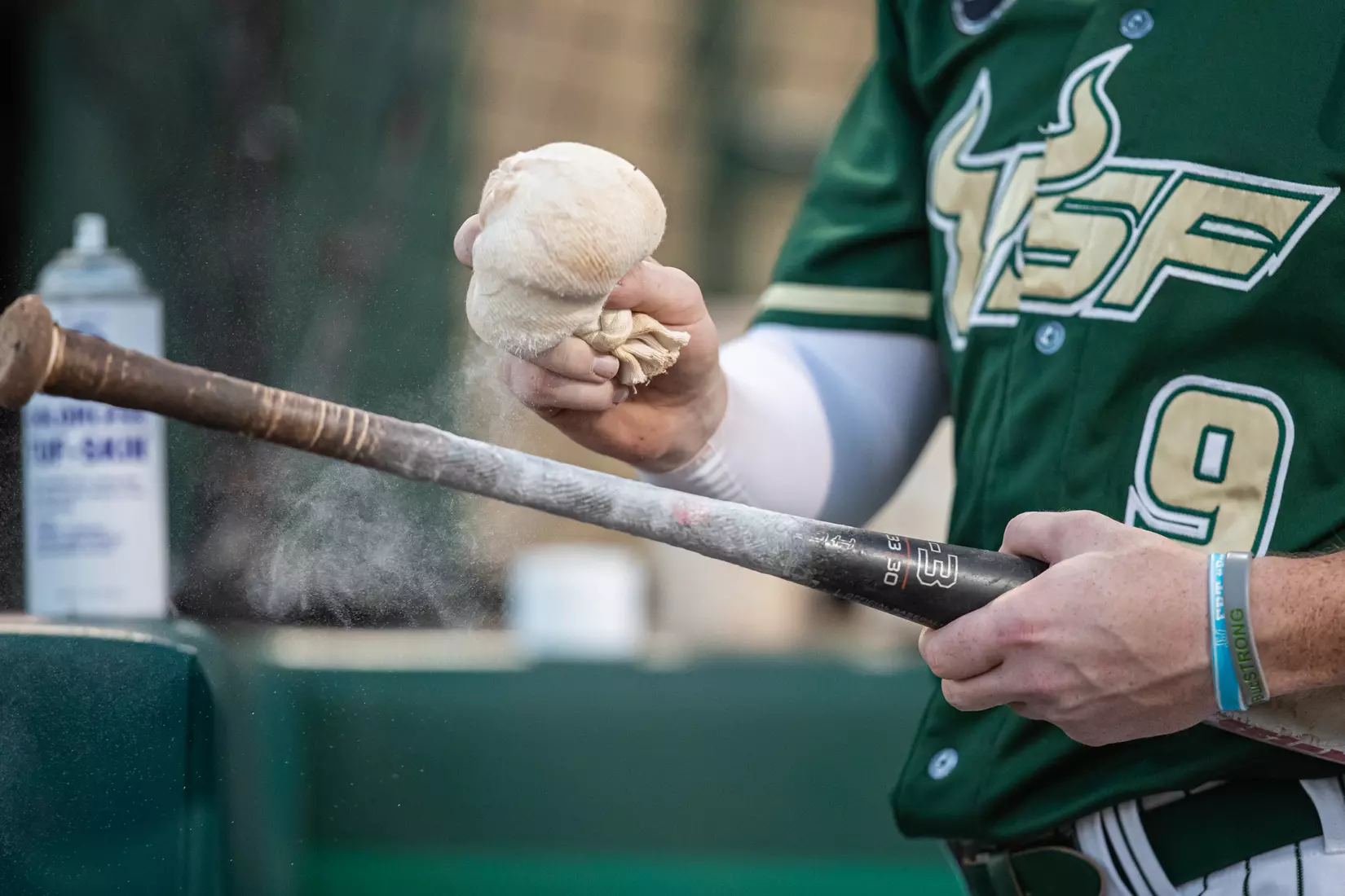 South Florida Bulls during a baseball game against the Stony Brook University Seawolves at the USF Baseball Stadium on February 26, 2022. (Mary Holt/South Florida Athletics)