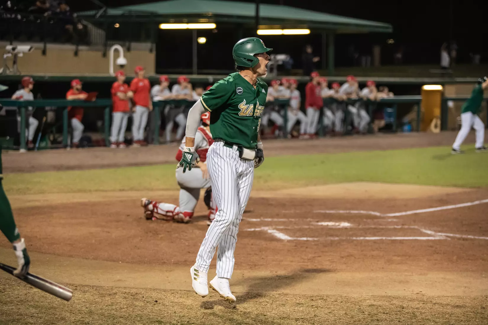 South Florida Bulls during a baseball game against the Stony Brook University Seawolves at the USF Baseball Stadium on February 26, 2022. (Mary Holt/South Florida Athletics)