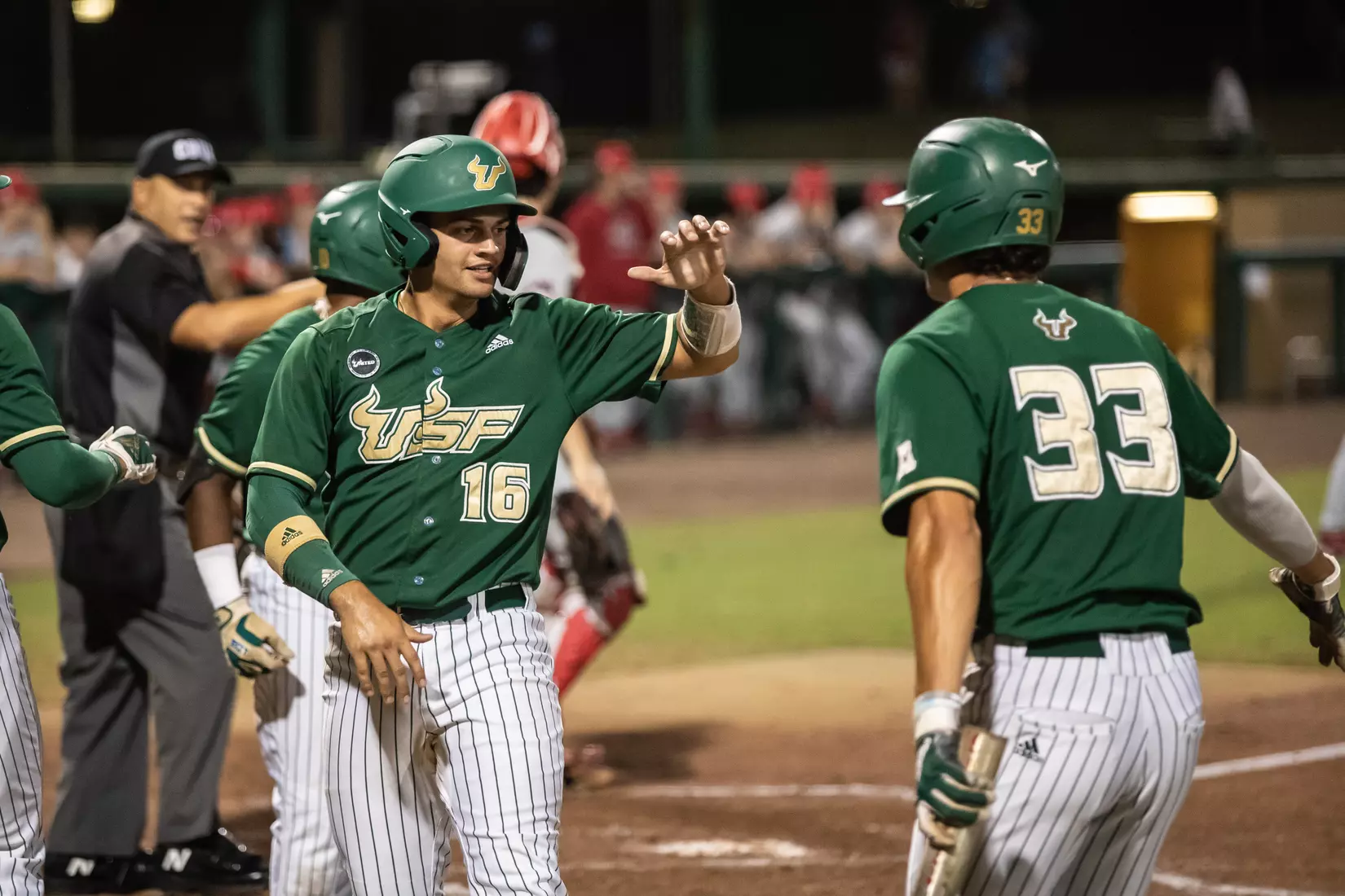 South Florida Bulls during a baseball game against the Stony Brook University Seawolves at the USF Baseball Stadium on February 26, 2022. (Mary Holt/South Florida Athletics)