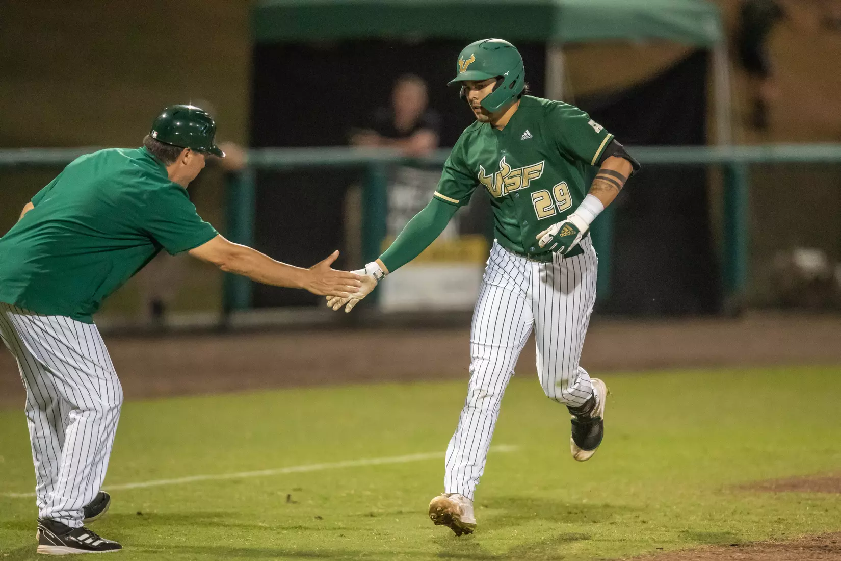 South Florida Bulls during a baseball game against the Stony Brook University Seawolves at the USF Baseball Stadium on February 26, 2022. (Mary Holt/South Florida Athletics)