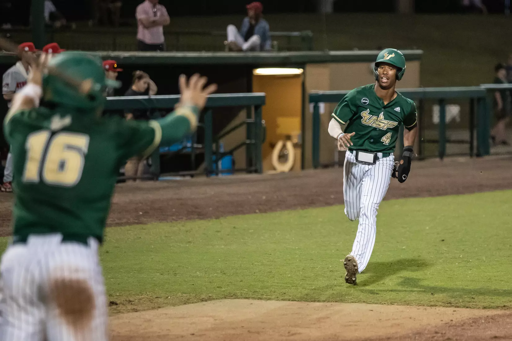 South Florida Bulls during a baseball game against the Stony Brook University Seawolves at the USF Baseball Stadium on February 26, 2022. (Mary Holt/South Florida Athletics)