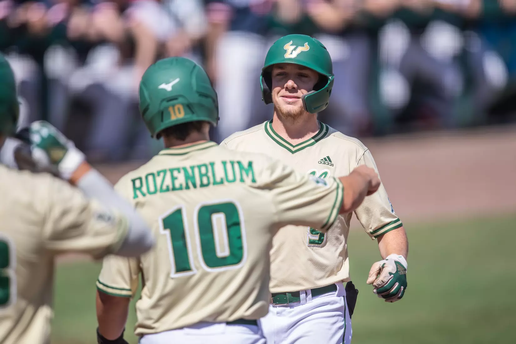 South Florida Bulls during a baseball game against the Stony Brook University Seawolves at the USF Baseball Stadium on February 27, 2022. (Mary Holt/South Florida Athletics)