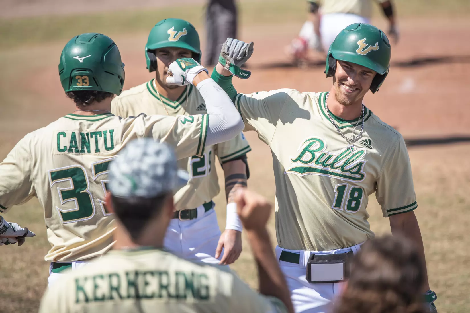 South Florida Bulls during a baseball game against the Stony Brook University Seawolves at the USF Baseball Stadium on February 27, 2022. (Mary Holt/South Florida Athletics)