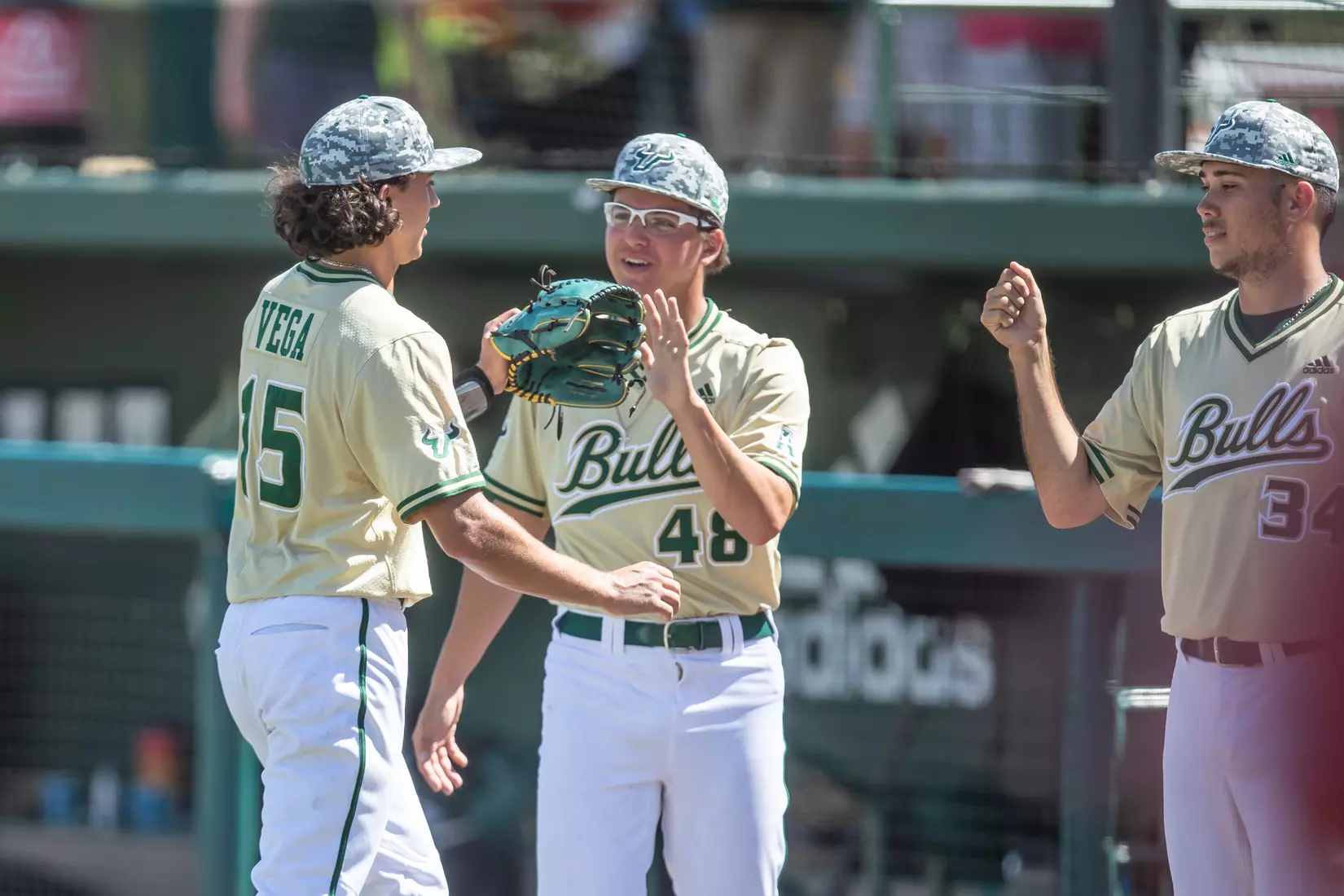 South Florida Bulls during a baseball game against the Stony Brook University Seawolves at the USF Baseball Stadium on February 27, 2022. (Mary Holt/South Florida Athletics)