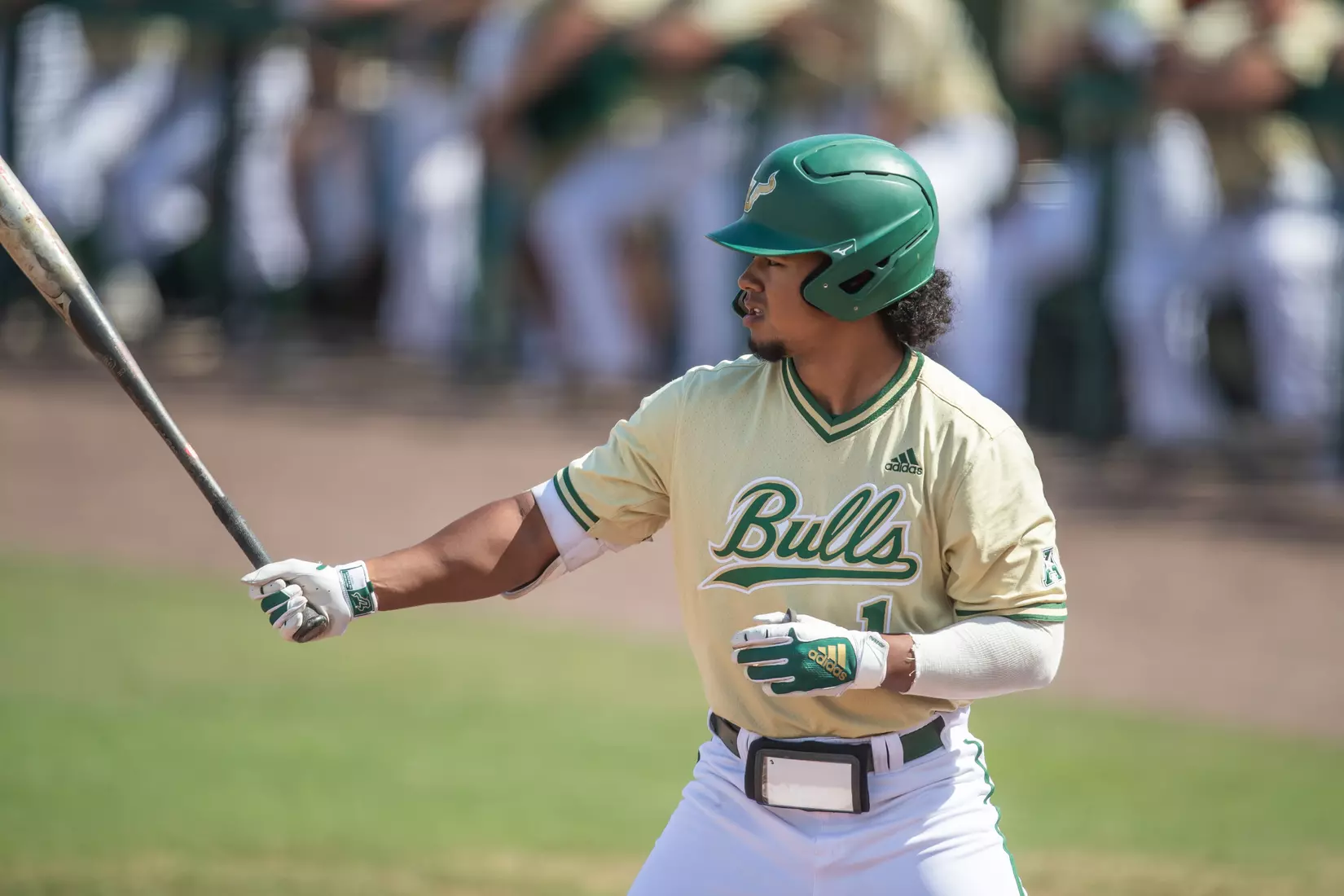 South Florida Bulls during a baseball game against the Stony Brook University Seawolves at the USF Baseball Stadium on February 27, 2022. (Mary Holt/South Florida Athletics)