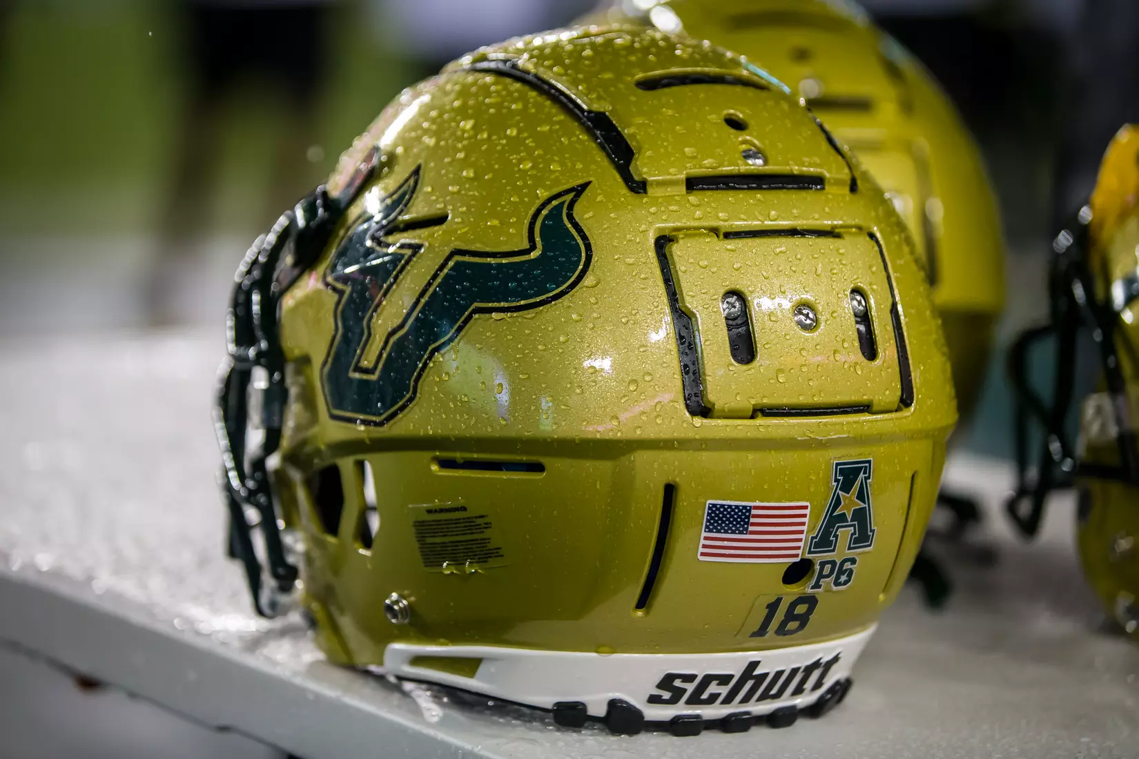 South Florida Bulls during a game against the Wisconsin Badgers on Friday August 30, 2019 at Raymond James Stadium in Tampa, Fl.
