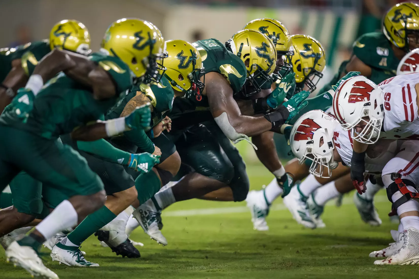 South Florida Bulls during a game against the Wisconsin Badgers on Friday August 30, 2019 at Raymond James Stadium in Tampa, Fl.