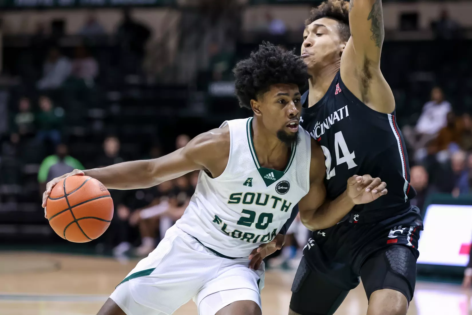 South Florida Bulls during a men's basketball game against the Cincinnati Bearcats at the Yuengling Center on February 9, 2022. (Mike Carlson/South Florida Athletics)