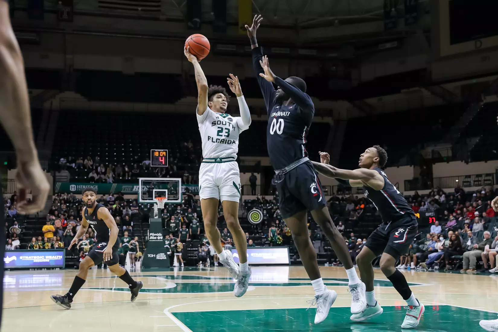 South Florida Bulls during a men's basketball game against the Cincinnati Bearcats at the Yuengling Center on February 9, 2022. (Mike Carlson/South Florida Athletics)