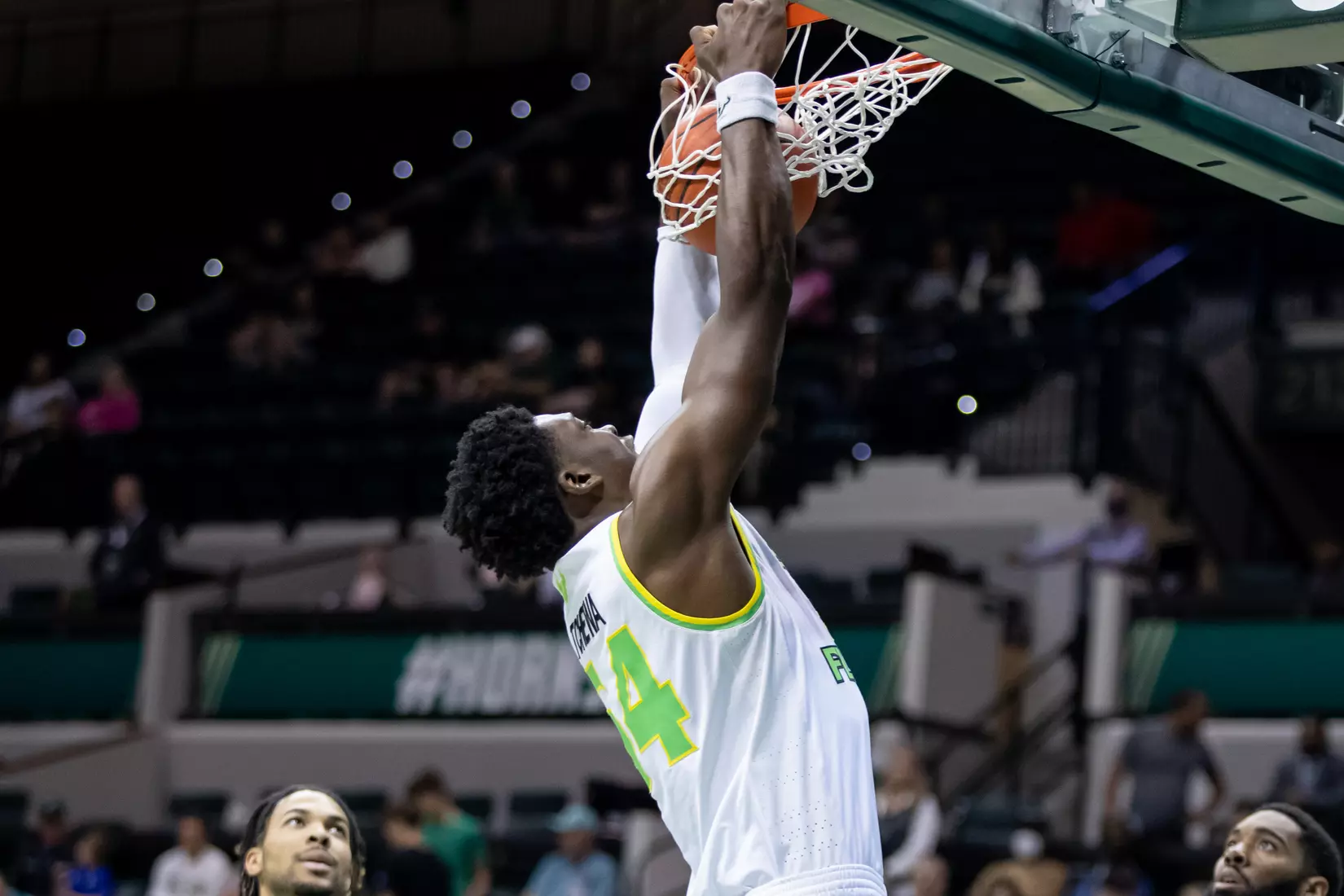 South Florida Bulls during a men's basketball game against the University of Tulsa Golden Hurricane at the Yuengling Center on February 19, 2022. (Mary Holt/South Florida Athletics)