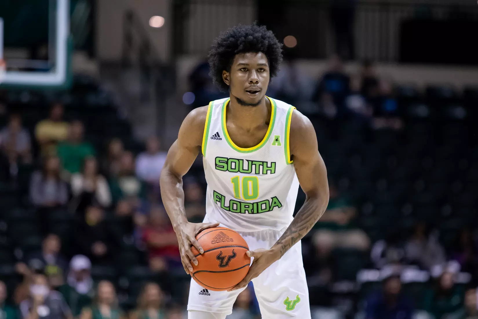 South Florida Bulls during a men's basketball game against the University of Tulsa Golden Hurricane at the Yuengling Center on February 19, 2022. (Mary Holt/South Florida Athletics)