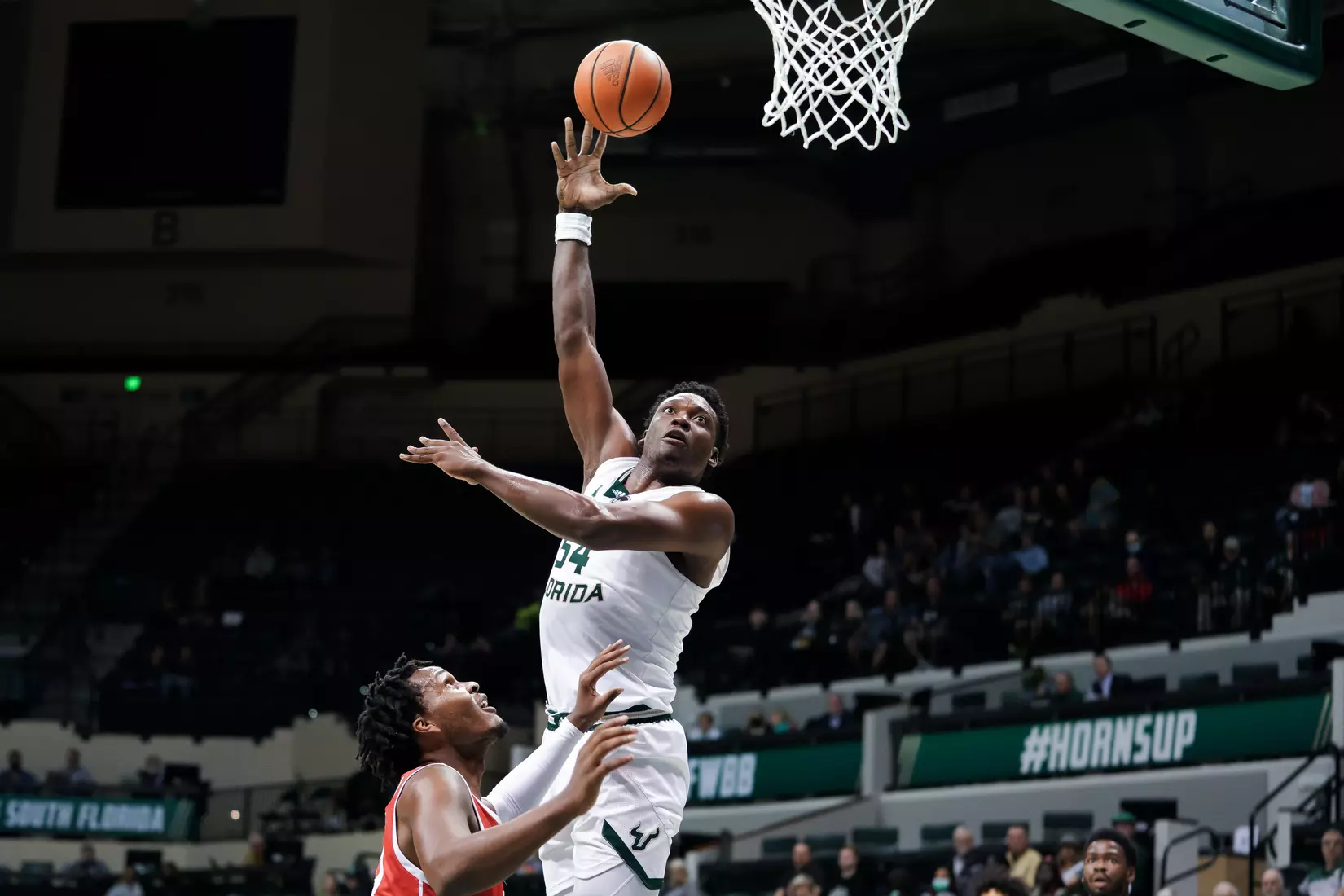 South Florida Bulls during a men's basketball game against the University of Houston Cougars at the Yuengling Center on January 5, 2022. (Stephen Galvin/South Florida Athletics)
