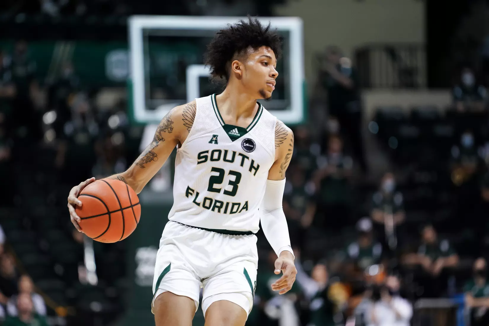 South Florida Bulls during a men's basketball game against the University of Houston Cougars at the Yuengling Center on January 5, 2022. (Stephen Galvin/South Florida Athletics)