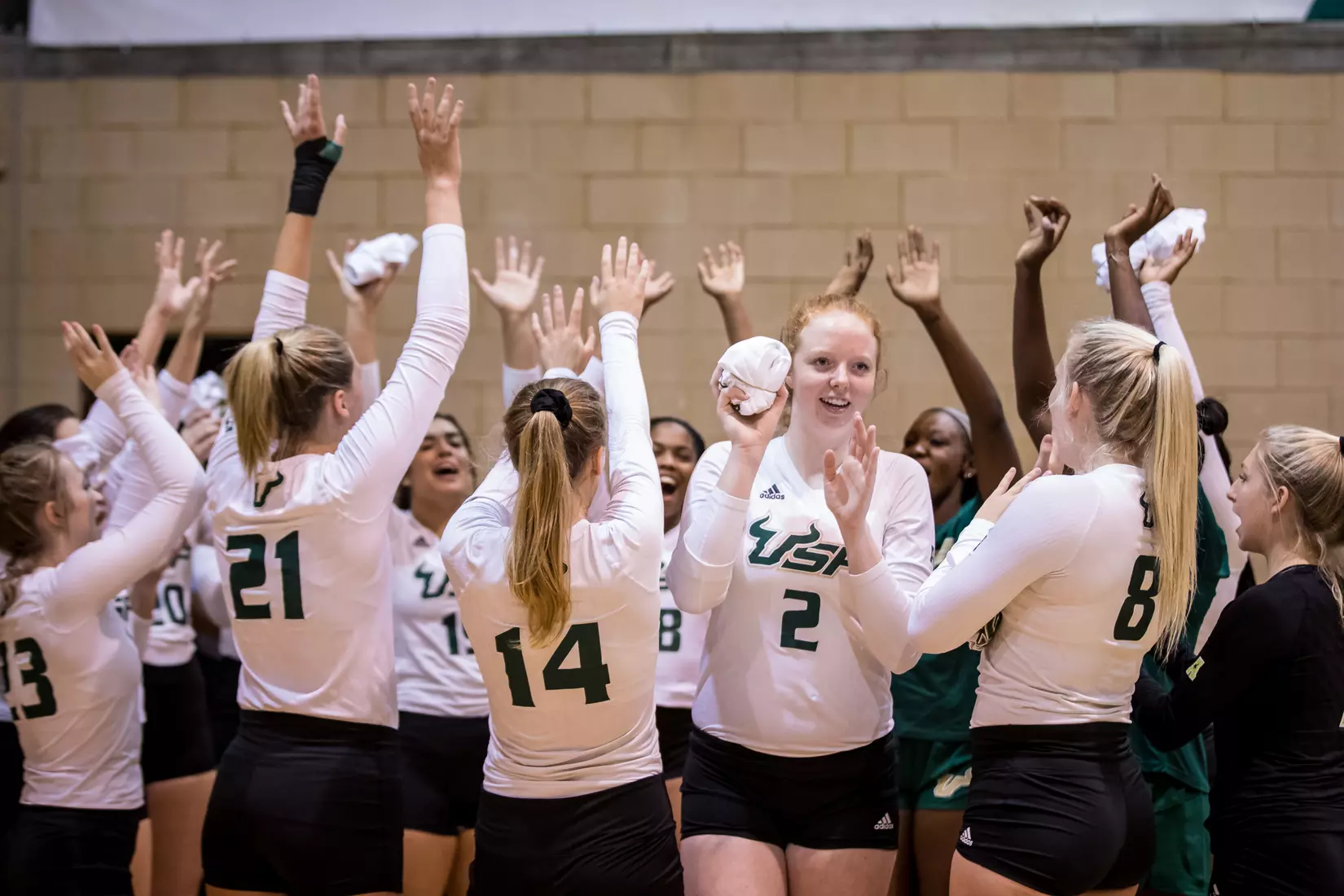 South Florida Bulls during a match against the Indiana Hoosiers at the Corral on Saturday September 21, 2019.
