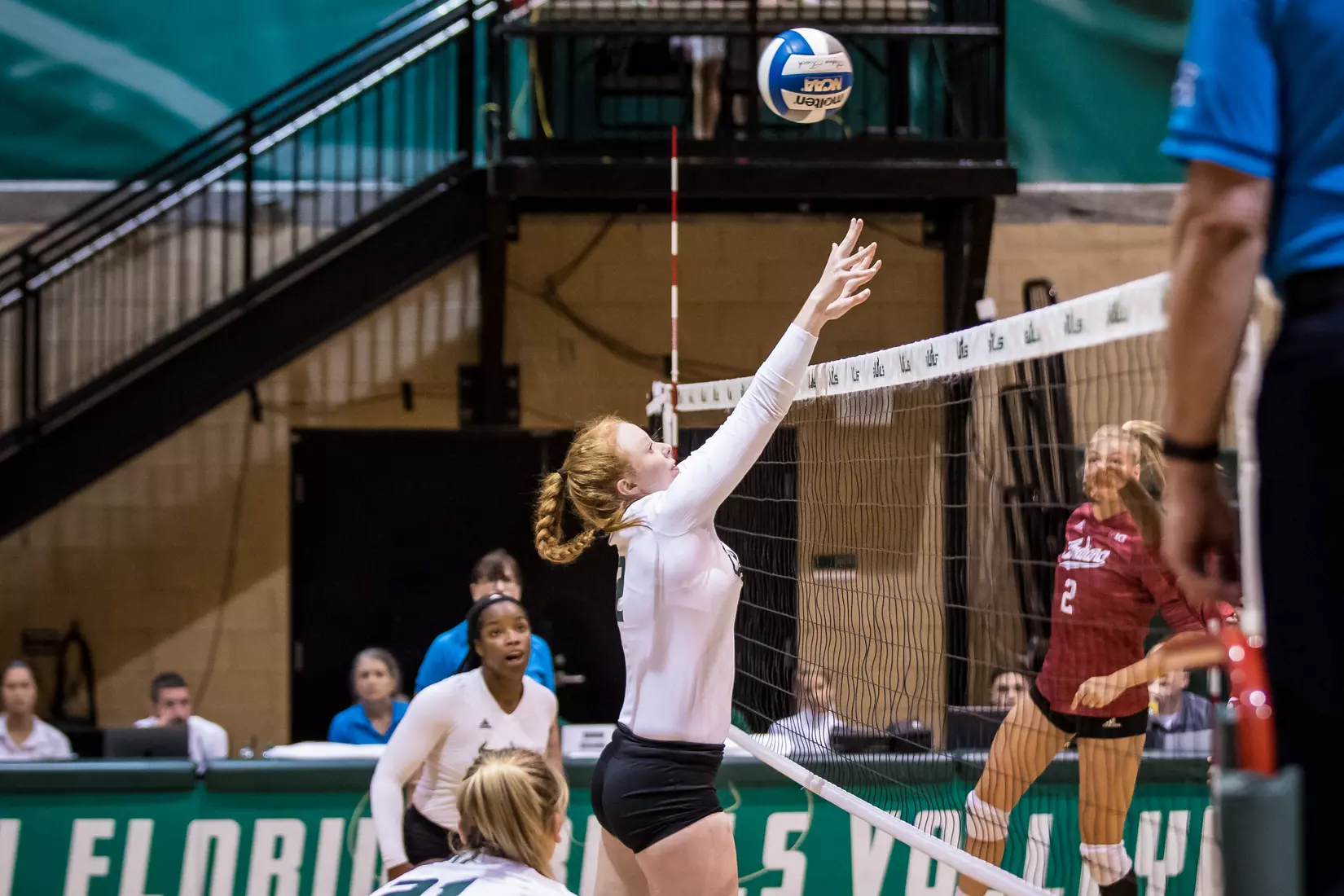 South Florida Bulls during a match against the Indiana Hoosiers at the Corral on Saturday September 21, 2019.