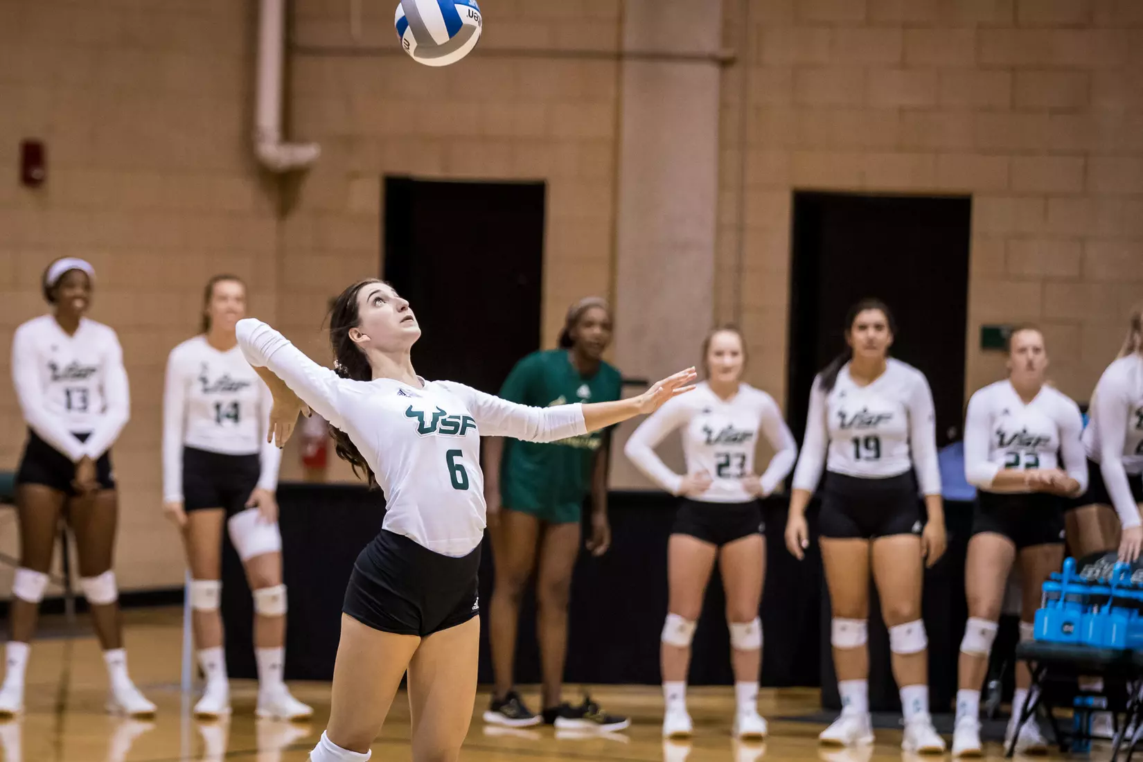 South Florida Bulls during a match against the Indiana Hoosiers at the Corral on Saturday September 21, 2019.