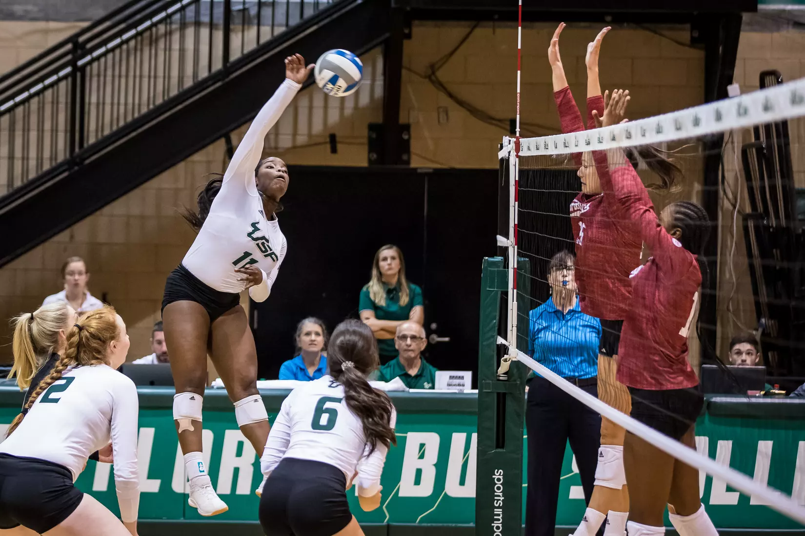 South Florida Bulls during a match against the Indiana Hoosiers at the Corral on Saturday September 21, 2019.