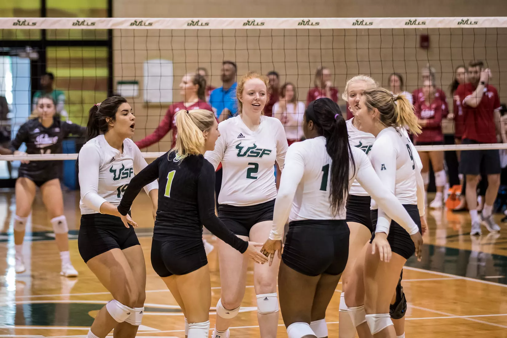 South Florida Bulls during a match against the Indiana Hoosiers at the Corral on Saturday September 21, 2019.