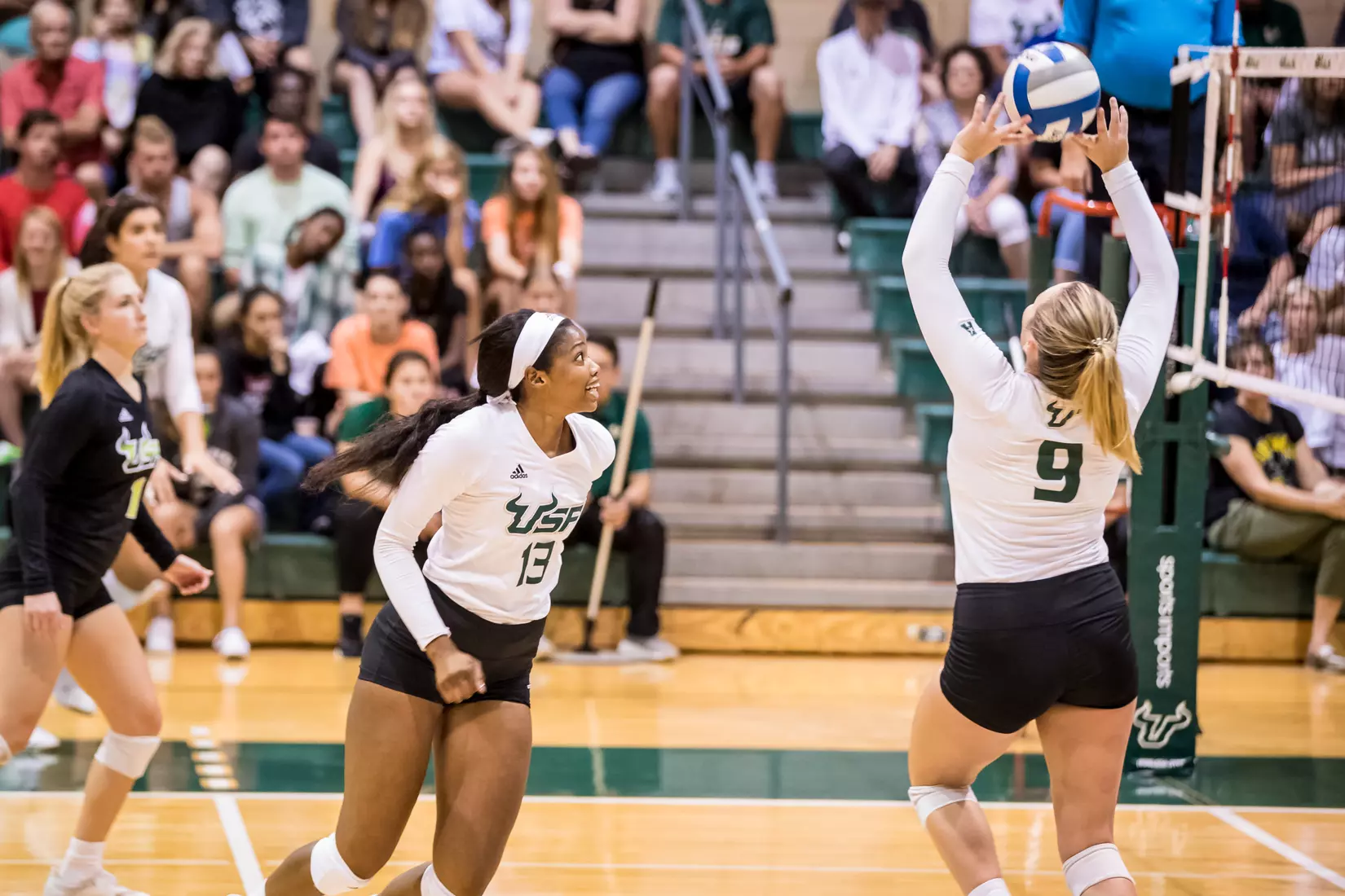 South Florida Bulls during a match against the Indiana Hoosiers at the Corral on Saturday September 21, 2019.