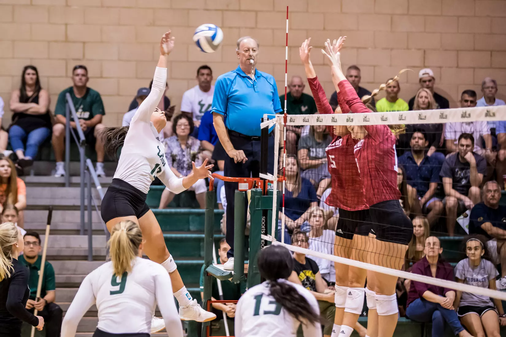 South Florida Bulls during a match against the Indiana Hoosiers at the Corral on Saturday September 21, 2019.