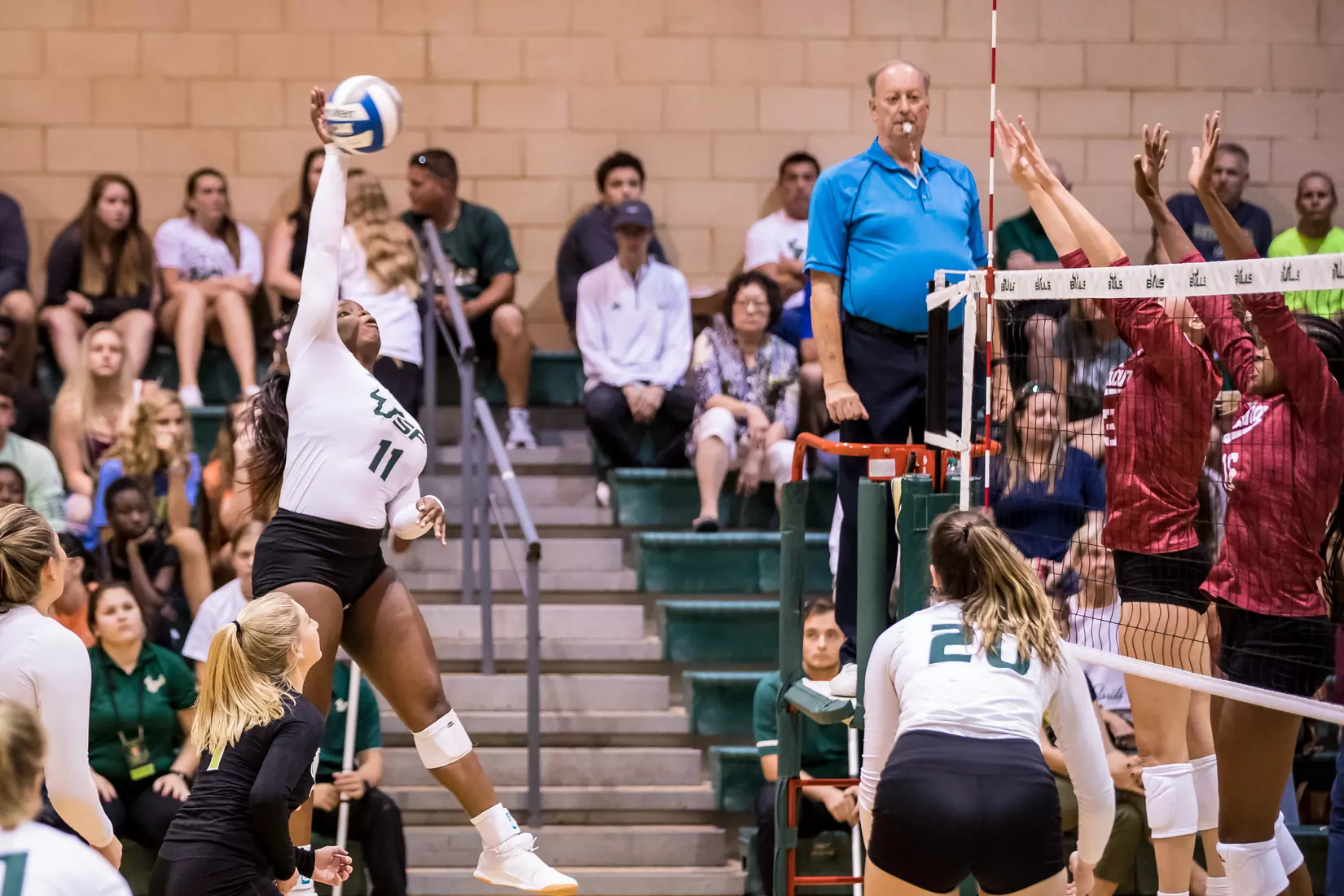 South Florida Bulls during a match against the Indiana Hoosiers at the Corral on Saturday September 21, 2019.