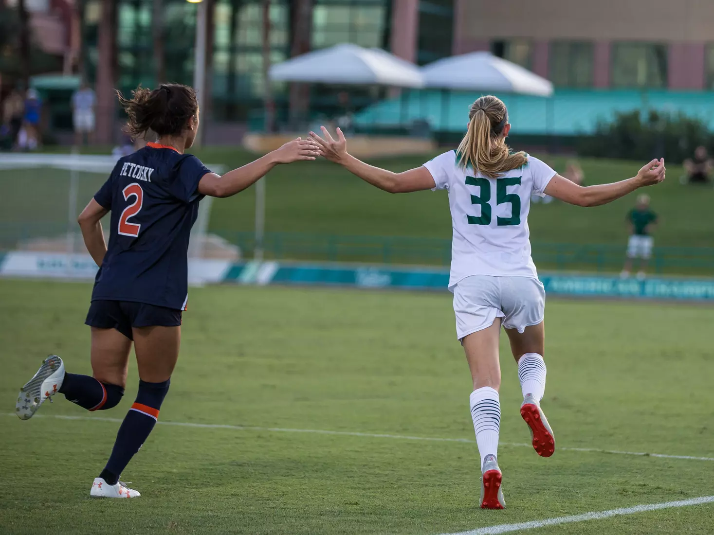 South Florida Bulls during a game against the Auburn Tigers on Thursday August 22, 2019 at Corbett Stadium in Tampa, Florida.
