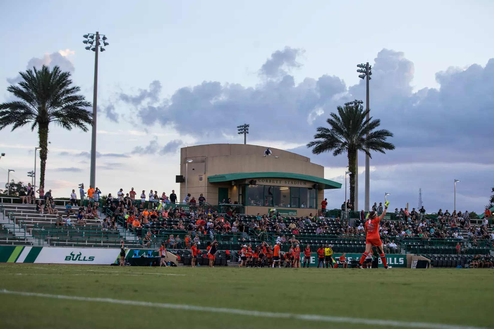 South Florida Bulls during a game against the Auburn Tigers on Thursday August 22, 2019 at Corbett Stadium in Tampa, Florida.