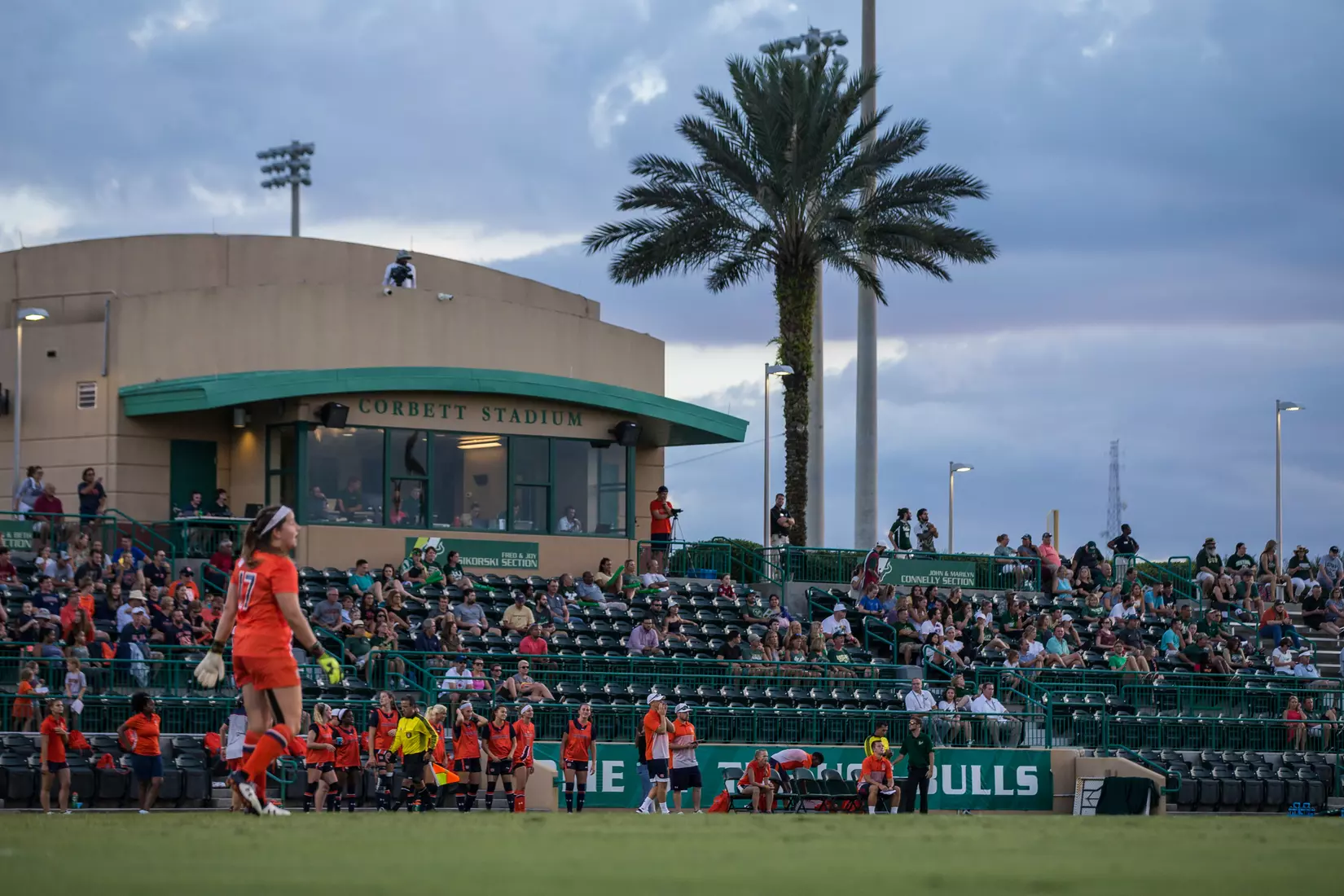 South Florida Bulls during a game against the Auburn Tigers on Thursday August 22, 2019 at Corbett Stadium in Tampa, Florida.
