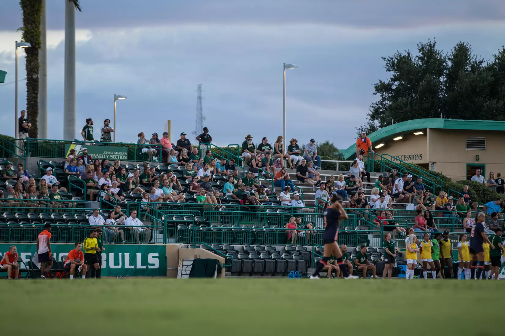 South Florida Bulls during a game against the Auburn Tigers on Thursday August 22, 2019 at Corbett Stadium in Tampa, Florida.