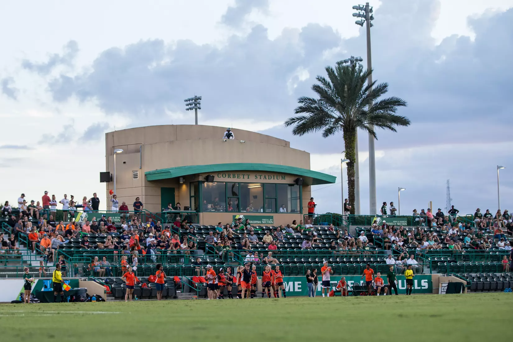 South Florida Bulls during a game against the Auburn Tigers on Thursday August 22, 2019 at Corbett Stadium in Tampa, Florida.