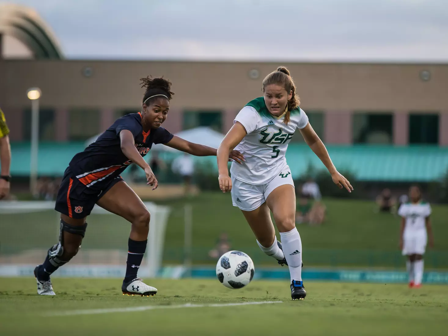 South Florida Bulls during a game against the Auburn Tigers on Thursday August 22, 2019 at Corbett Stadium in Tampa, Florida.