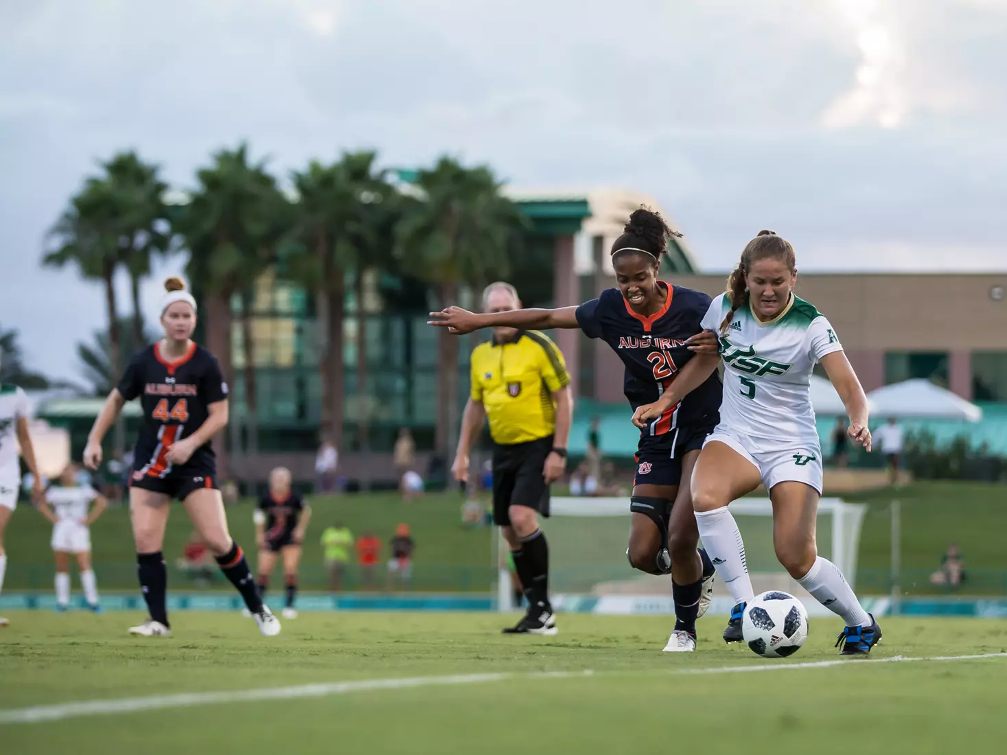South Florida Bulls during a game against the Auburn Tigers on Thursday August 22, 2019 at Corbett Stadium in Tampa, Florida.