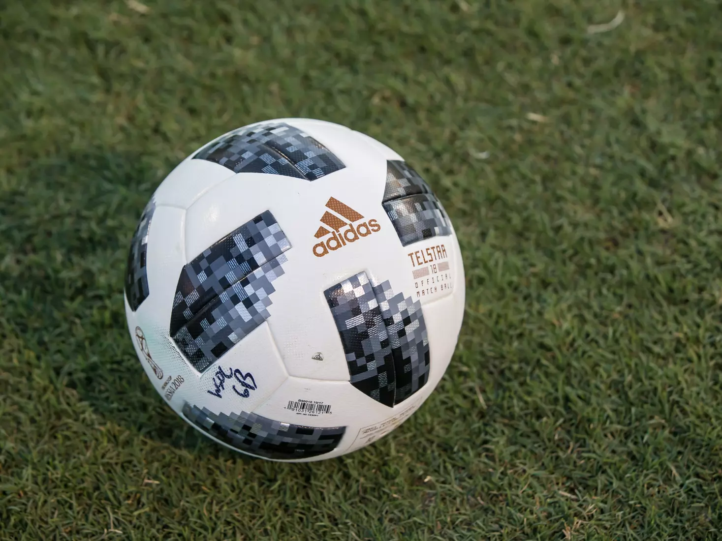 South Florida Bulls during a game against the Auburn Tigers on Thursday August 22, 2019 at Corbett Stadium in Tampa, Florida.