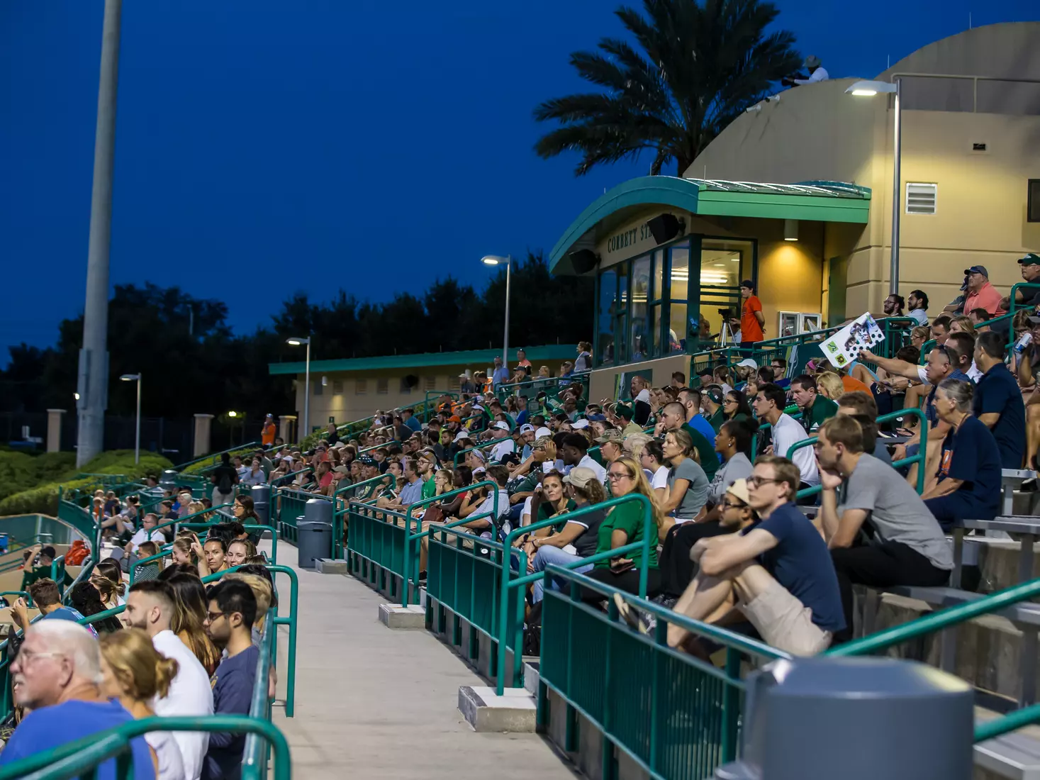South Florida Bulls during a game against the Auburn Tigers on Thursday August 22, 2019 at Corbett Stadium in Tampa, Florida.