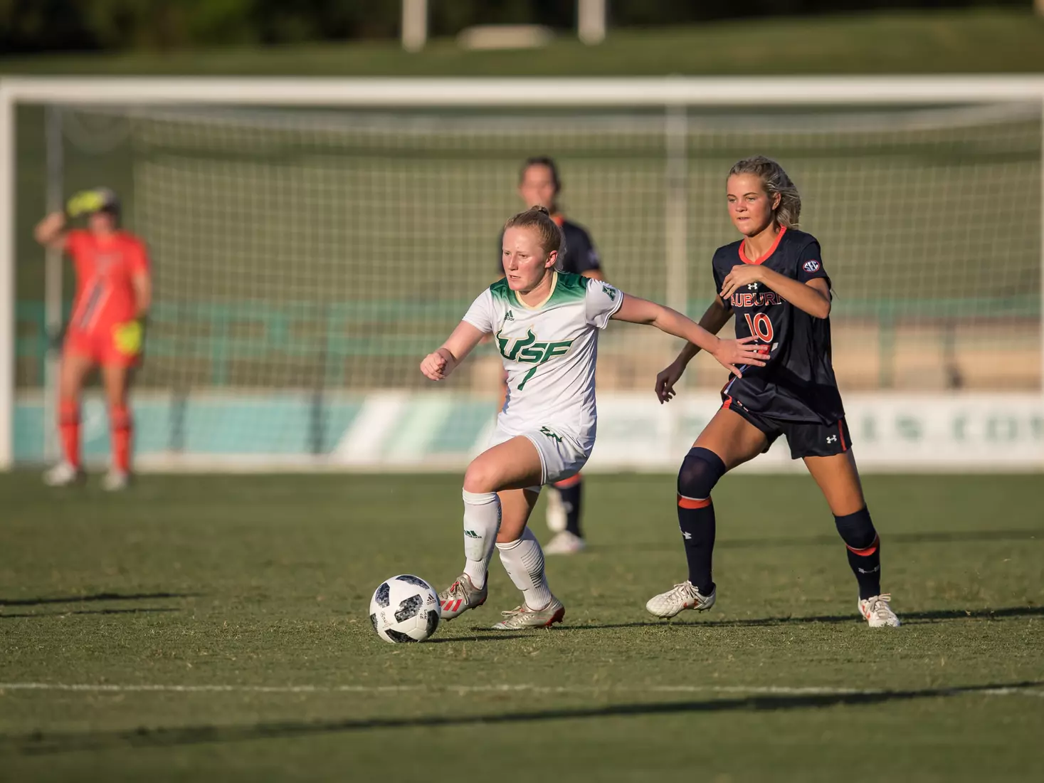 South Florida Bulls during a game against the Auburn Tigers on Thursday August 22, 2019 at Corbett Stadium in Tampa, Florida.