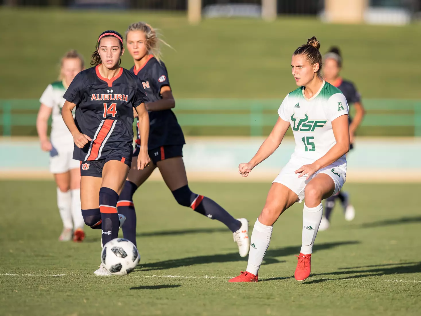 South Florida Bulls during a game against the Auburn Tigers on Thursday August 22, 2019 at Corbett Stadium in Tampa, Florida.
