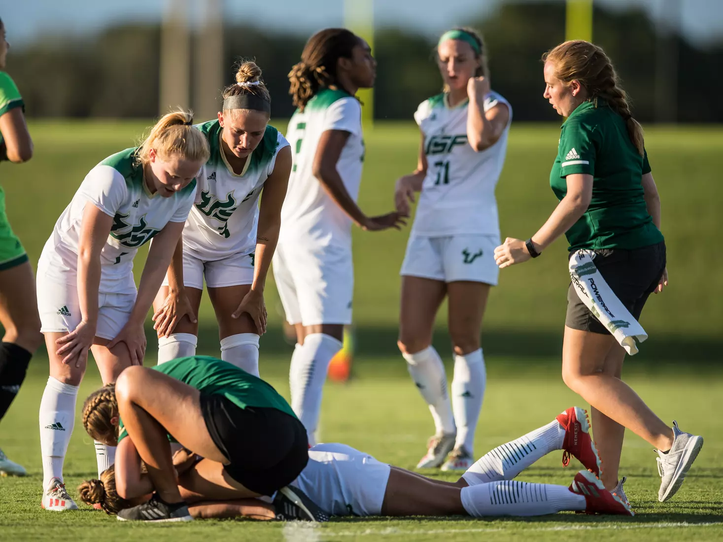 South Florida Bulls during a game against the Auburn Tigers on Thursday August 22, 2019 at Corbett Stadium in Tampa, Florida.