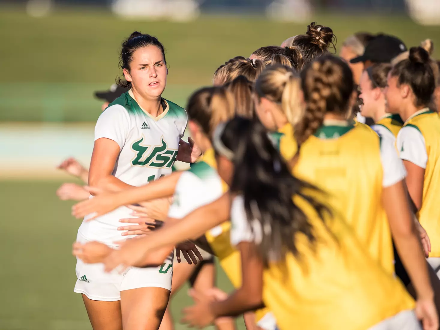 South Florida Bulls during a game against the Auburn Tigers on Thursday August 22, 2019 at Corbett Stadium in Tampa, Florida.