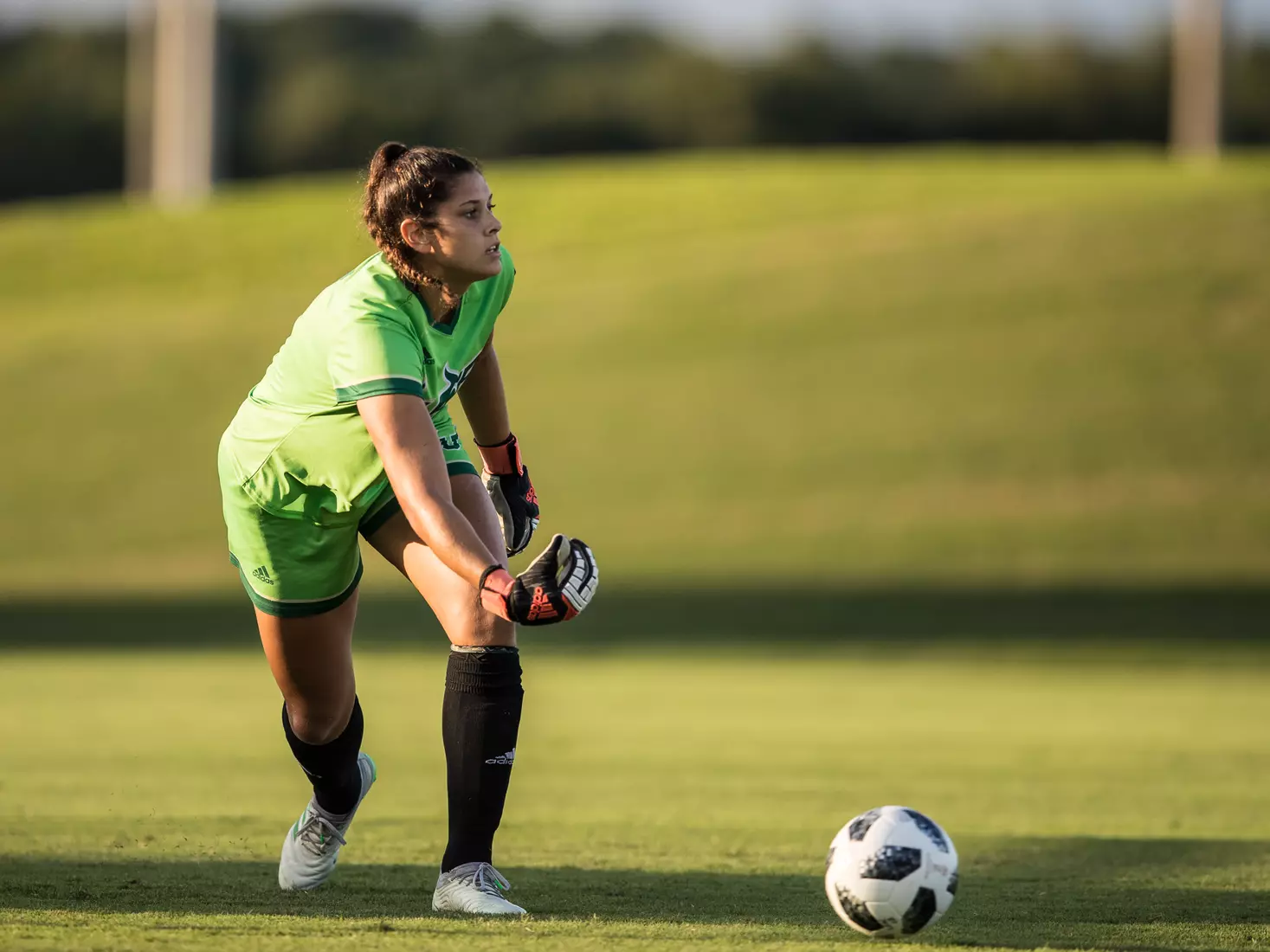South Florida Bulls during a game against the Auburn Tigers on Thursday August 22, 2019 at Corbett Stadium in Tampa, Florida.