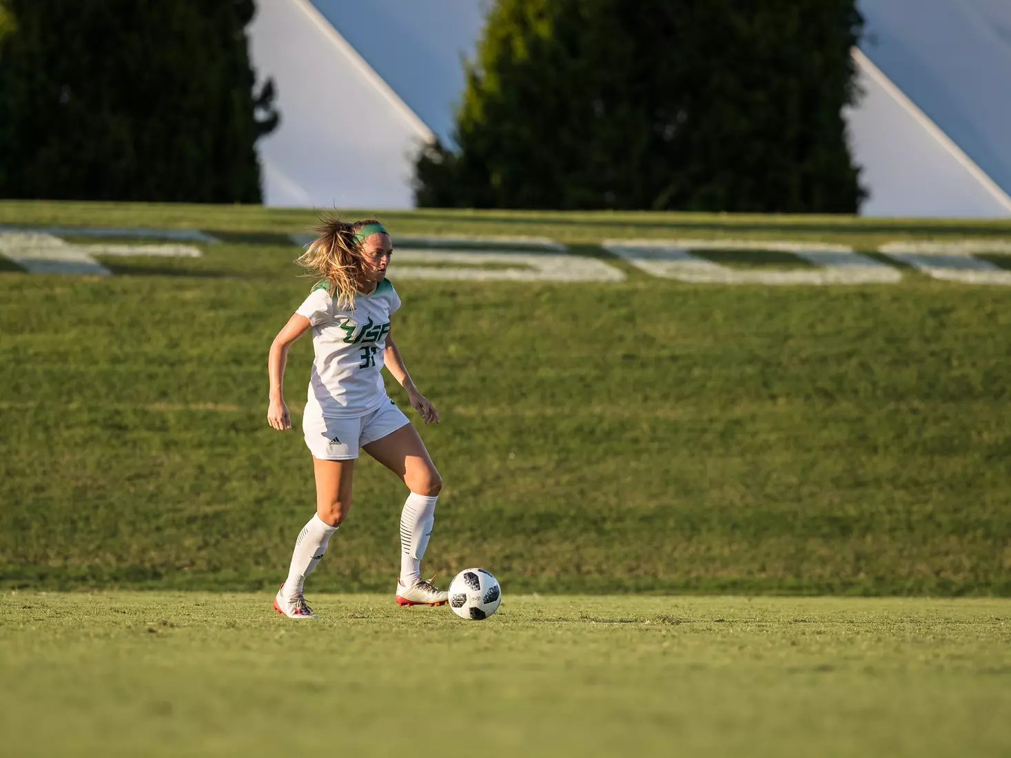 South Florida Bulls during a game against the Auburn Tigers on Thursday August 22, 2019 at Corbett Stadium in Tampa, Florida.