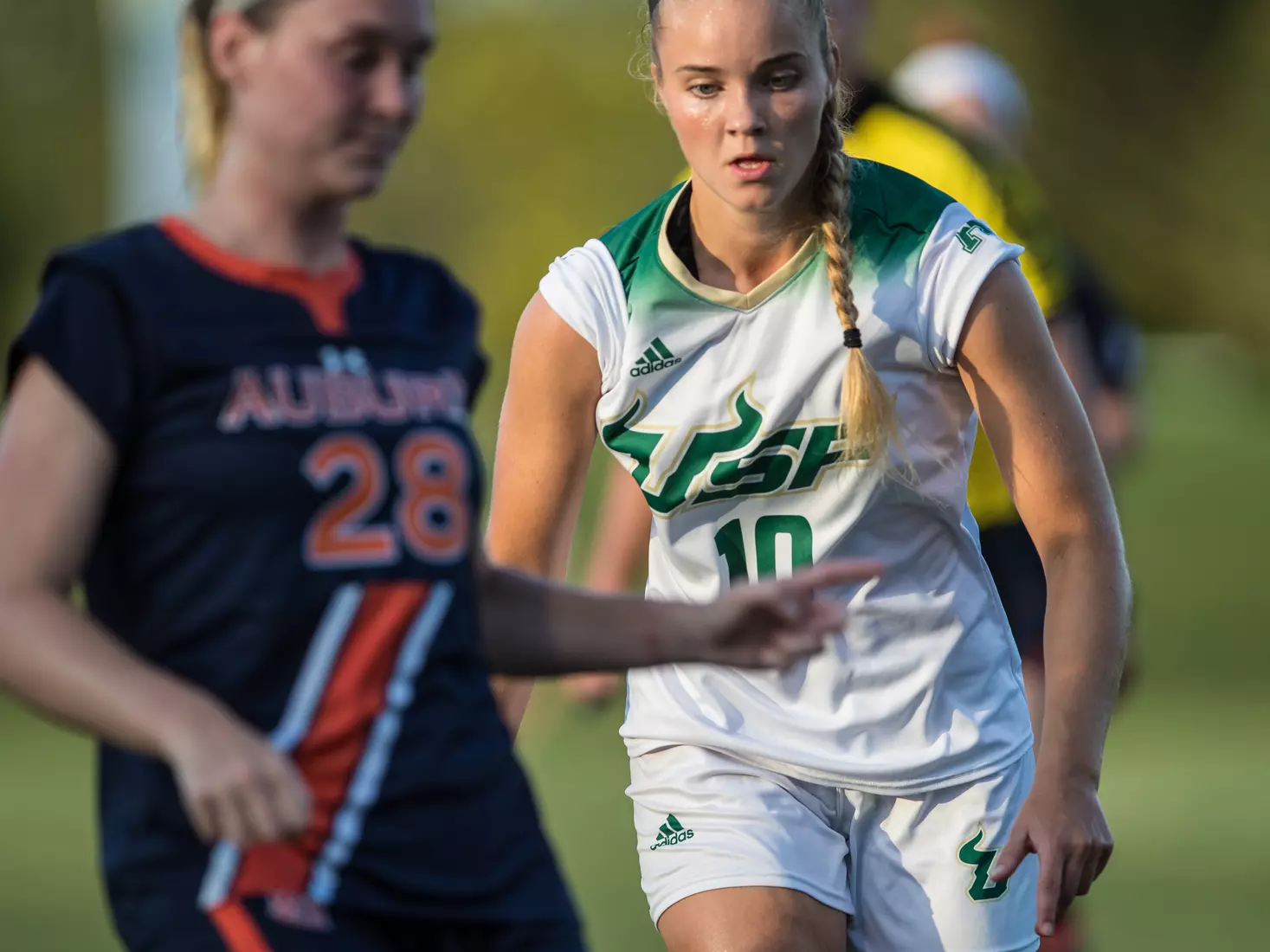 South Florida Bulls during a game against the Auburn Tigers on Thursday August 22, 2019 at Corbett Stadium in Tampa, Florida.