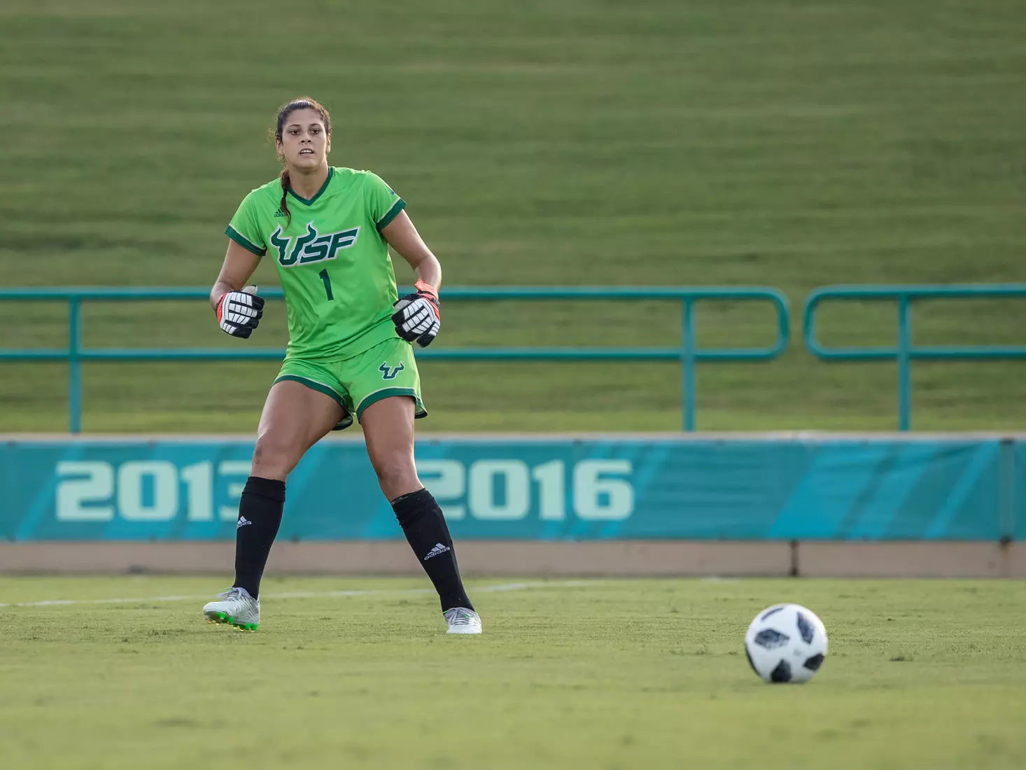 South Florida Bulls during a game against the Auburn Tigers on Thursday August 22, 2019 at Corbett Stadium in Tampa, Florida.