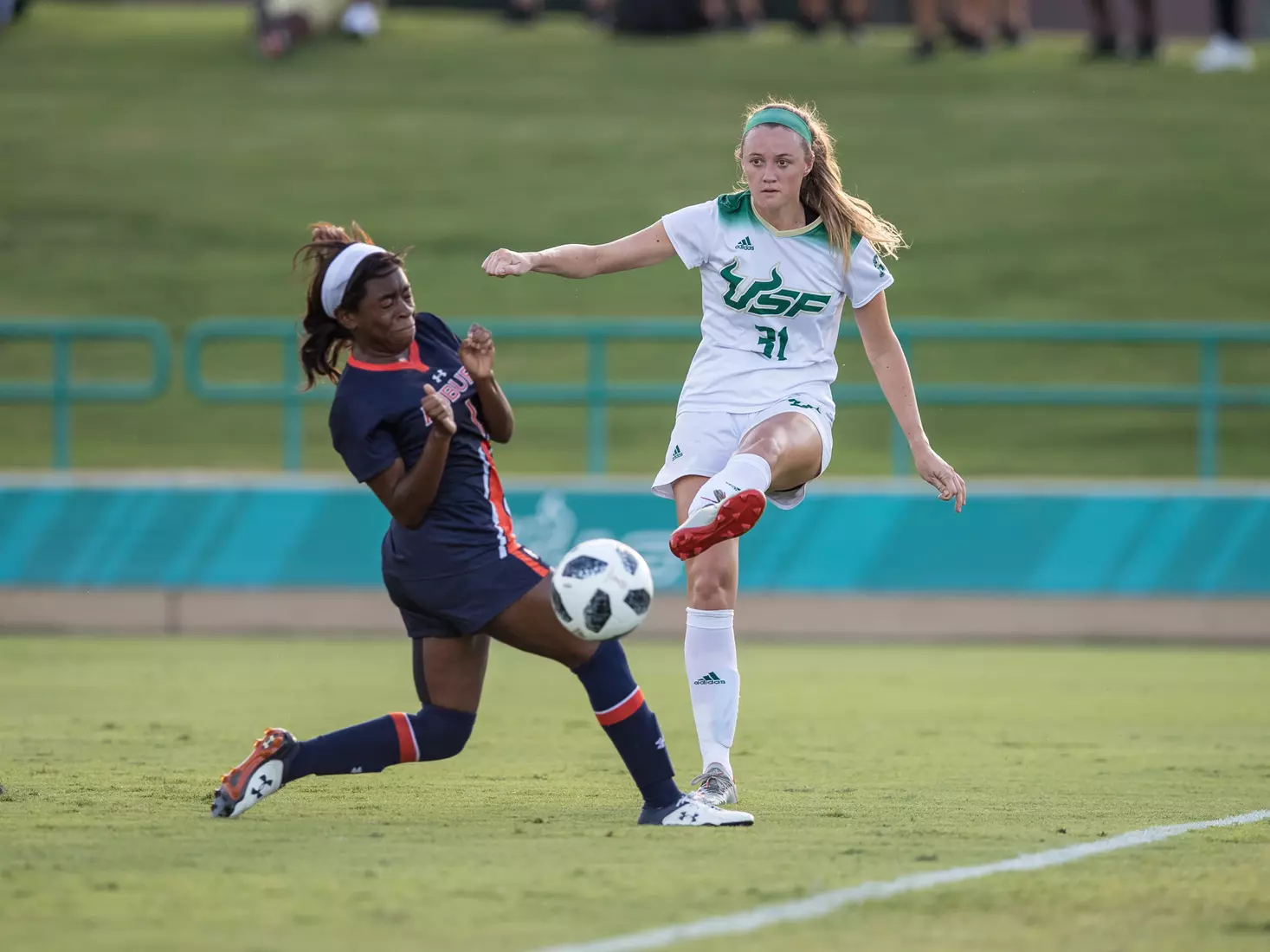 South Florida Bulls during a game against the Auburn Tigers on Thursday August 22, 2019 at Corbett Stadium in Tampa, Florida.