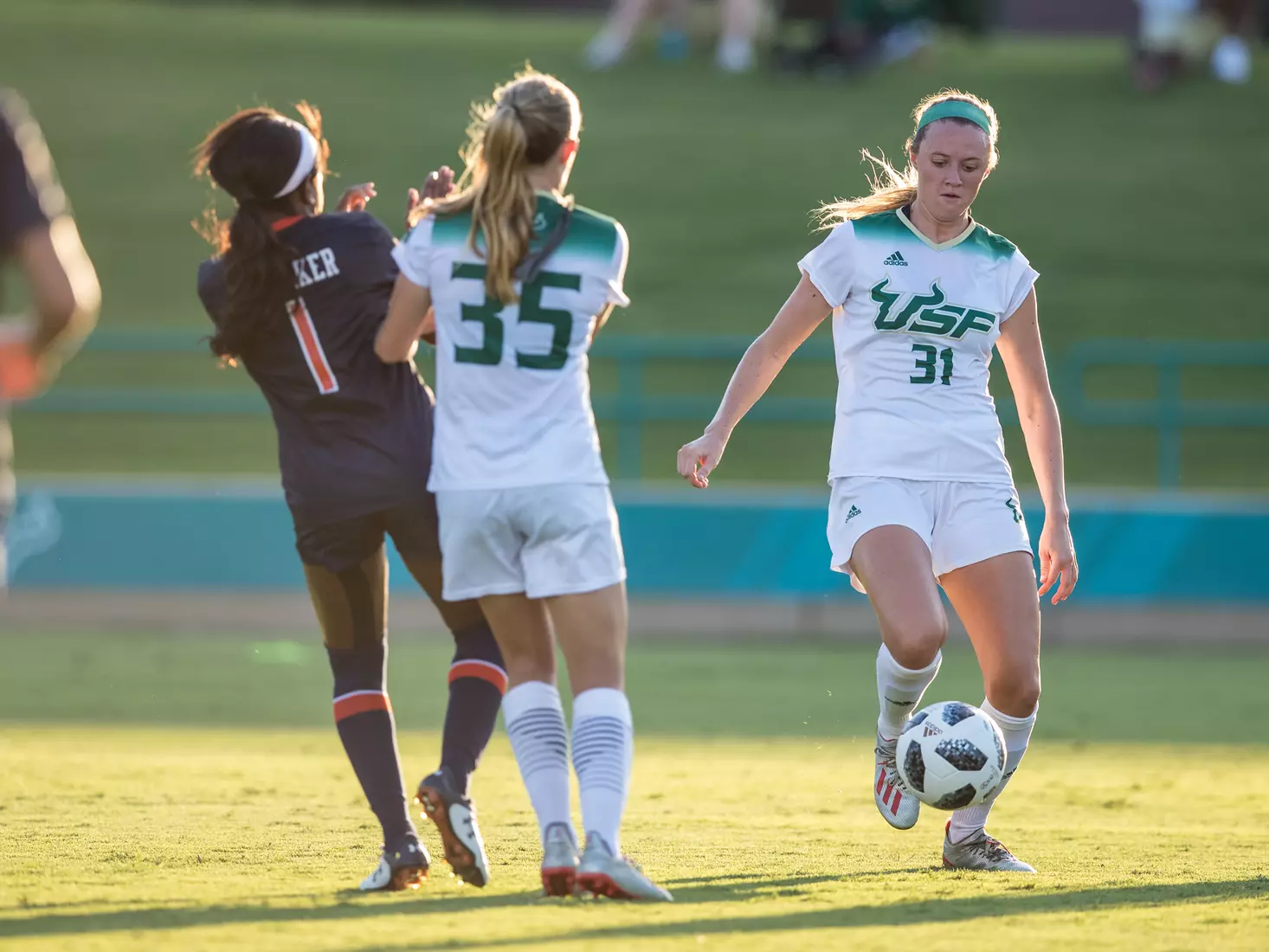 South Florida Bulls during a game against the Auburn Tigers on Thursday August 22, 2019 at Corbett Stadium in Tampa, Florida.