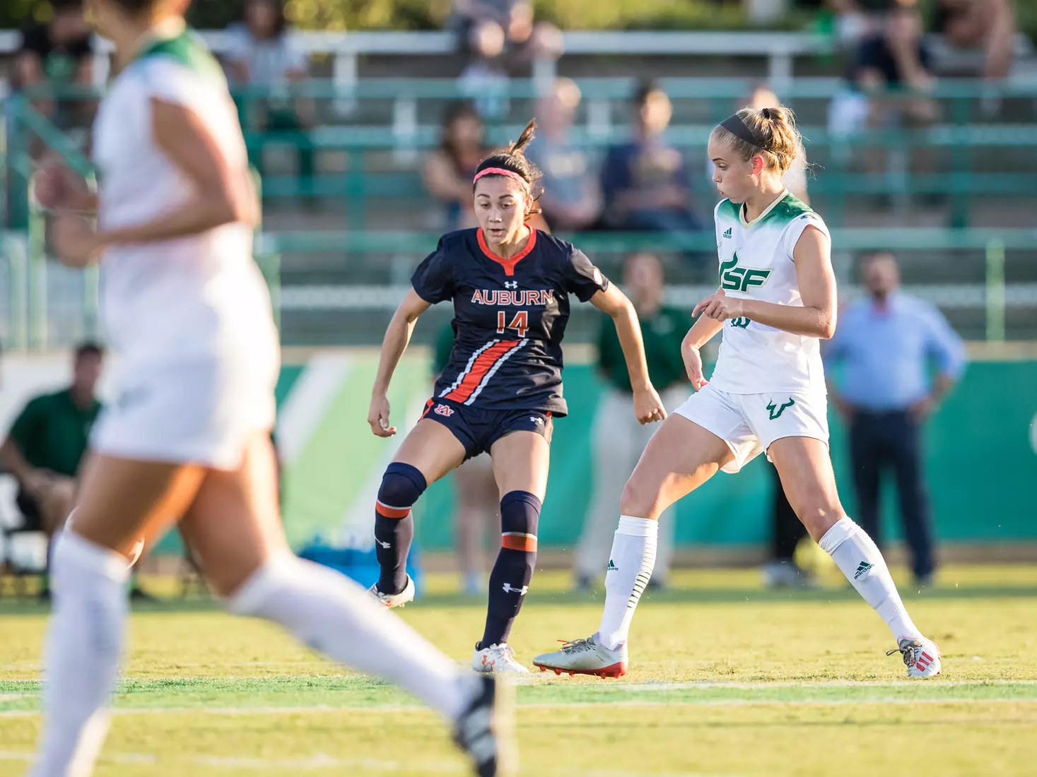 South Florida Bulls during a game against the Auburn Tigers on Thursday August 22, 2019 at Corbett Stadium in Tampa, Florida.