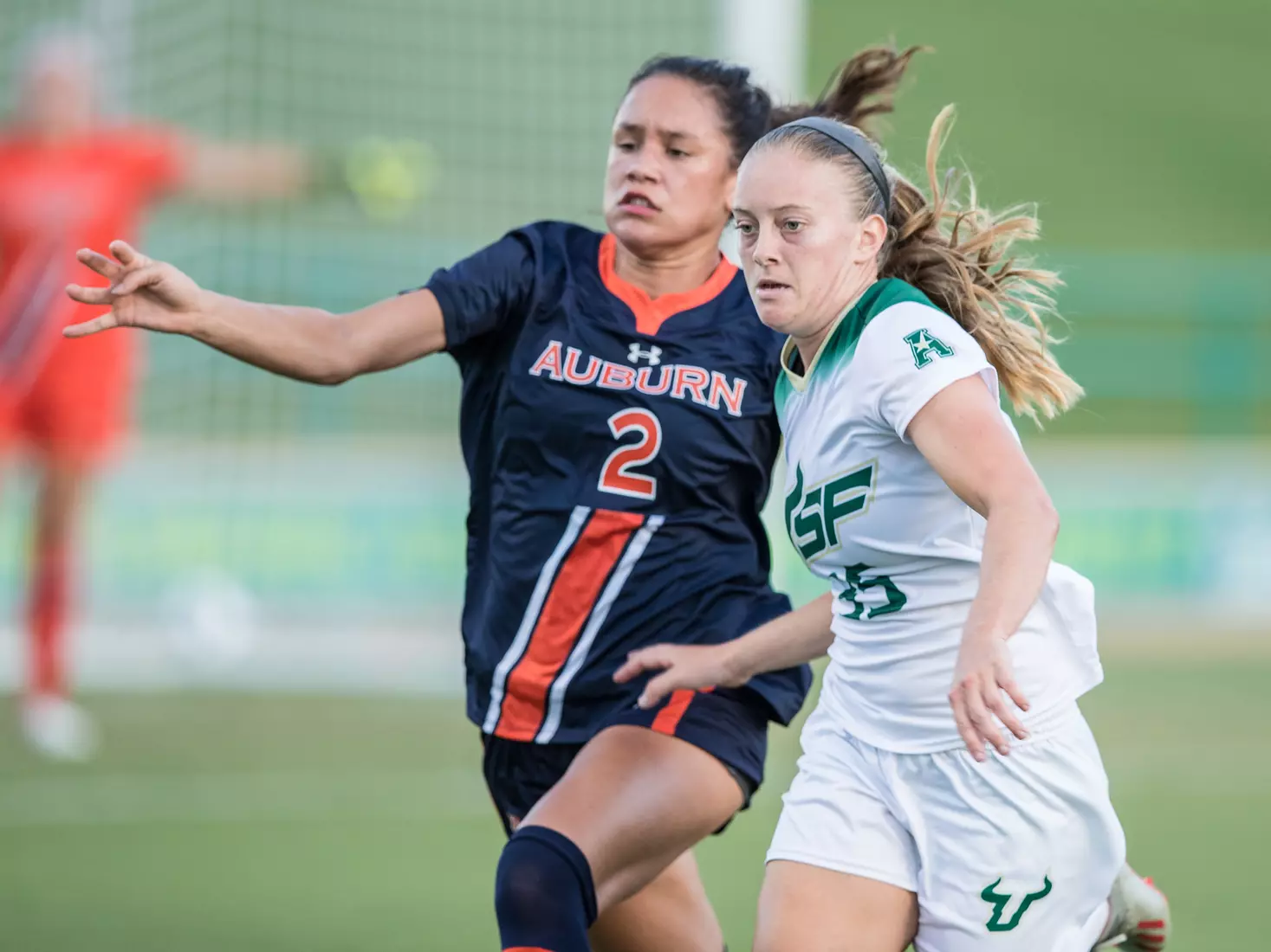 South Florida Bulls during a game against the Auburn Tigers on Thursday August 22, 2019 at Corbett Stadium in Tampa, Florida.