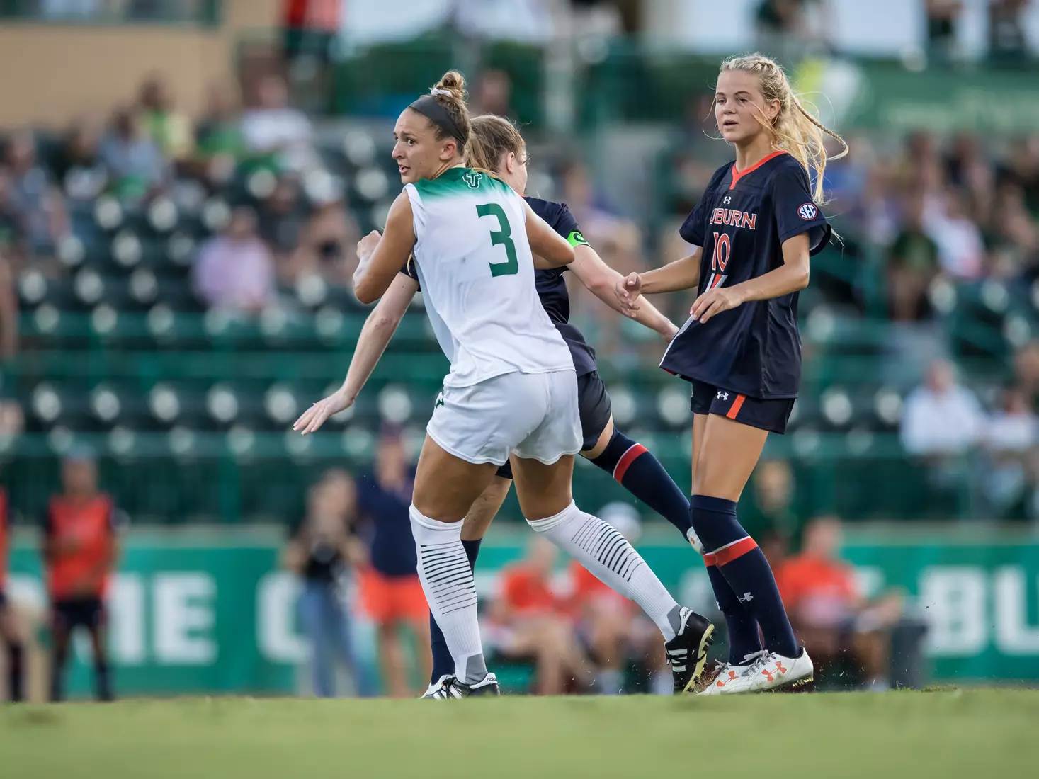 South Florida Bulls during a game against the Auburn Tigers on Thursday August 22, 2019 at Corbett Stadium in Tampa, Florida.