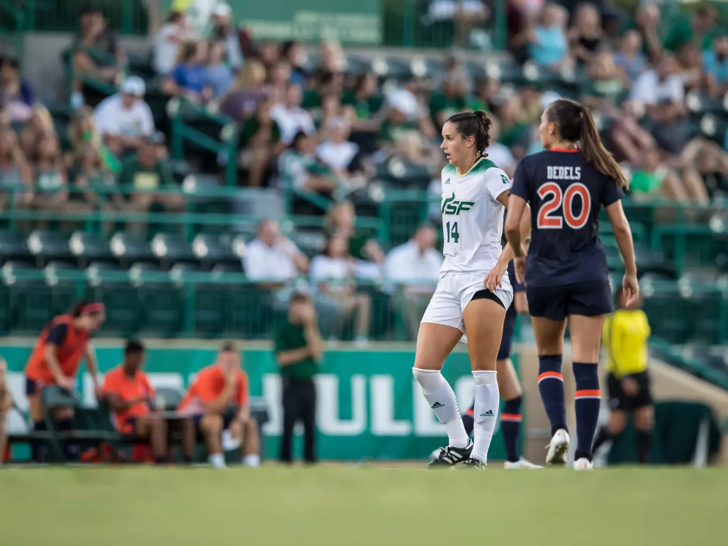 South Florida Bulls during a game against the Auburn Tigers on Thursday August 22, 2019 at Corbett Stadium in Tampa, Florida.