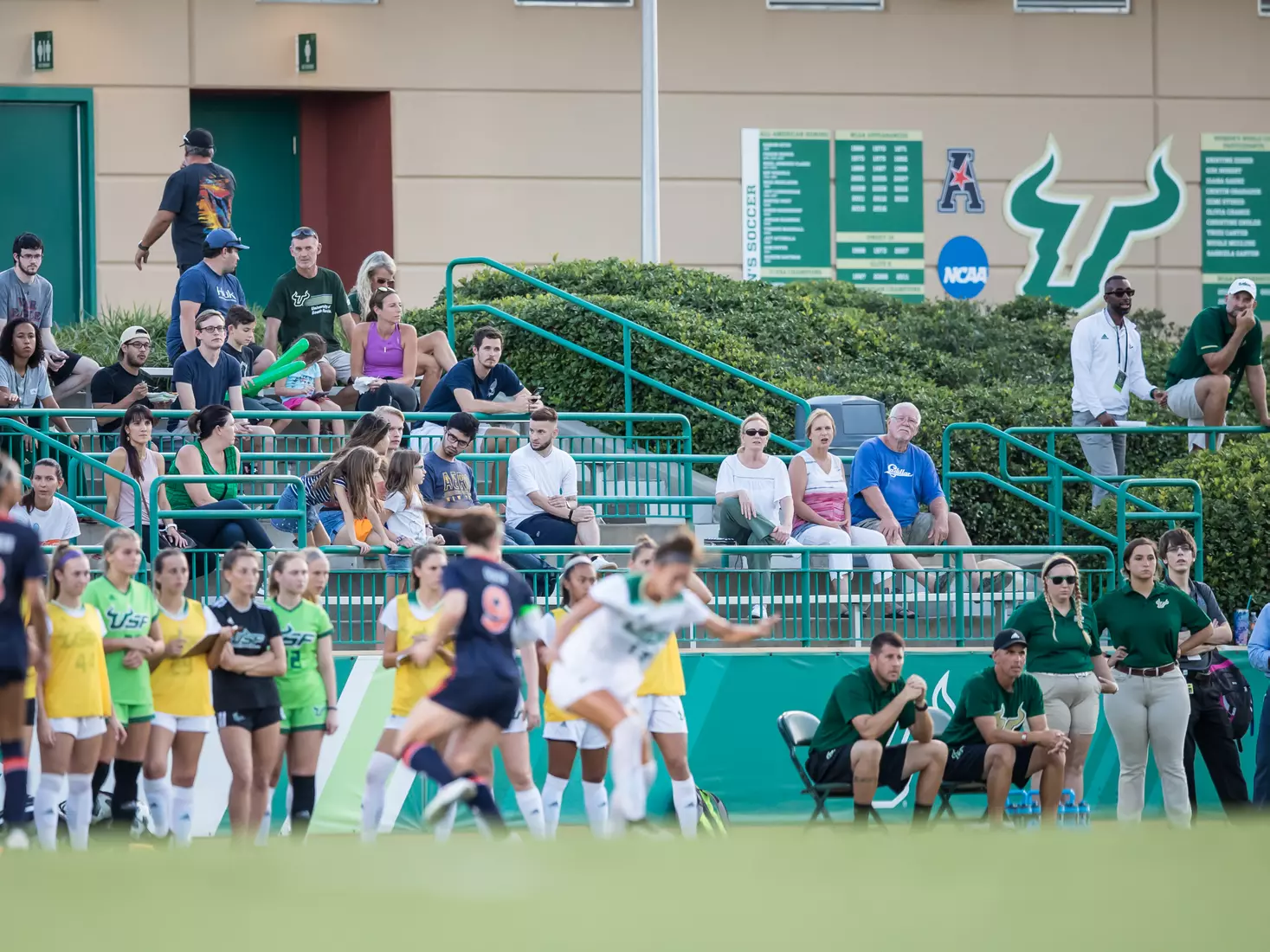 South Florida Bulls during a game against the Auburn Tigers on Thursday August 22, 2019 at Corbett Stadium in Tampa, Florida.